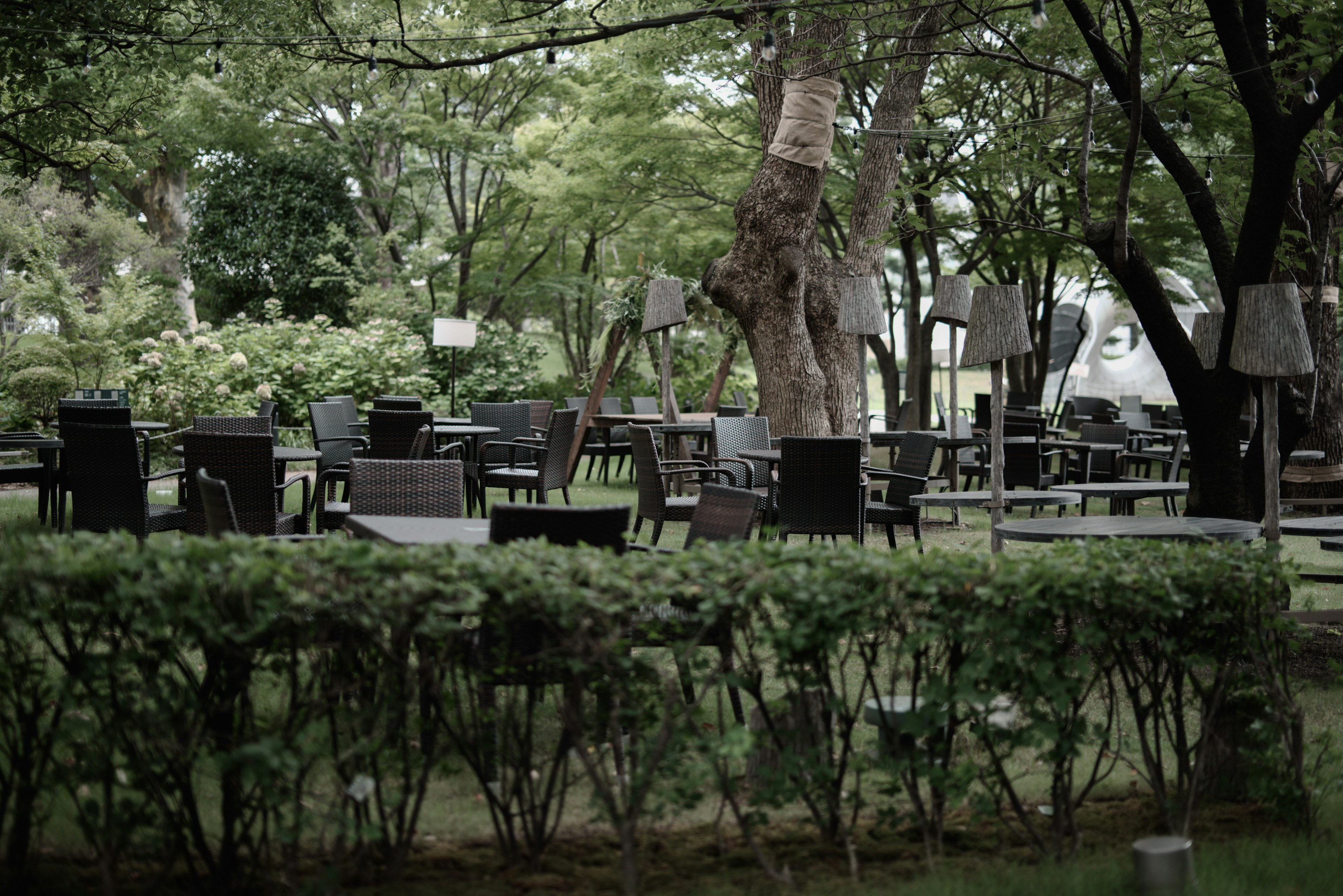 Outdoor cafe seating surrounded by greenery