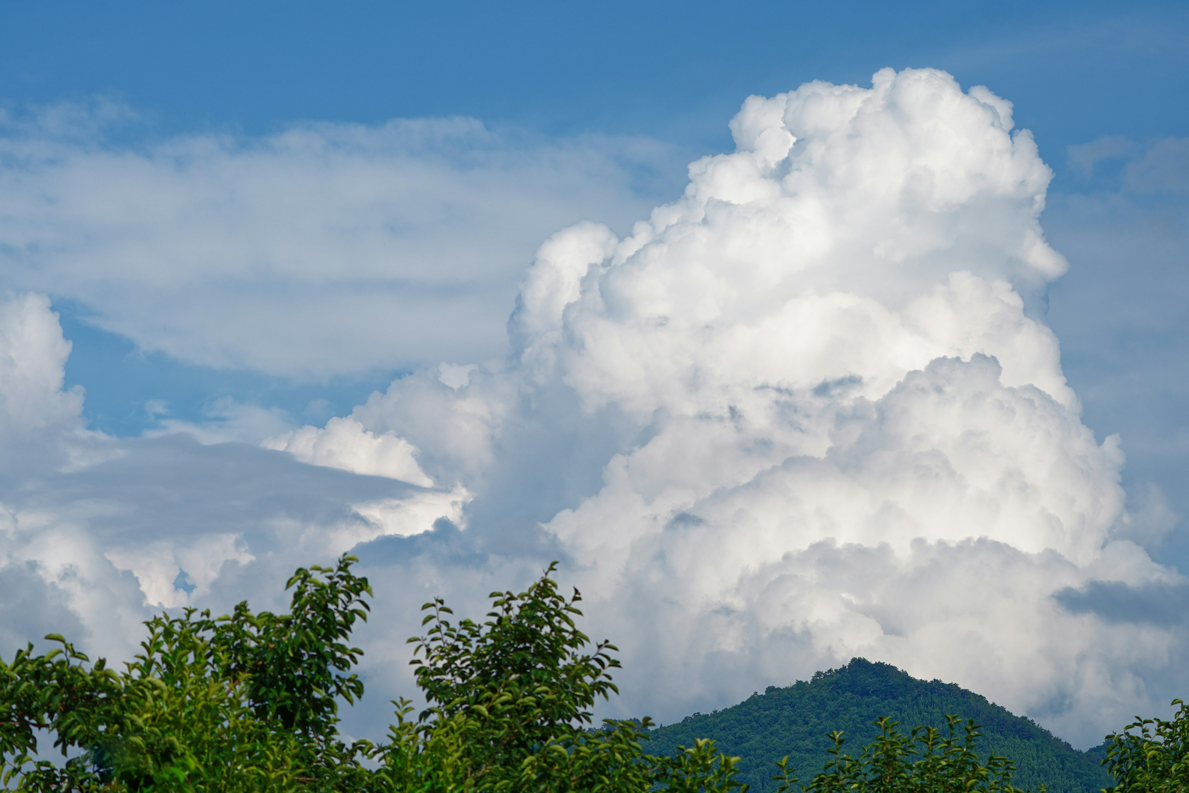 A landscape featuring white clouds in a blue sky with green trees