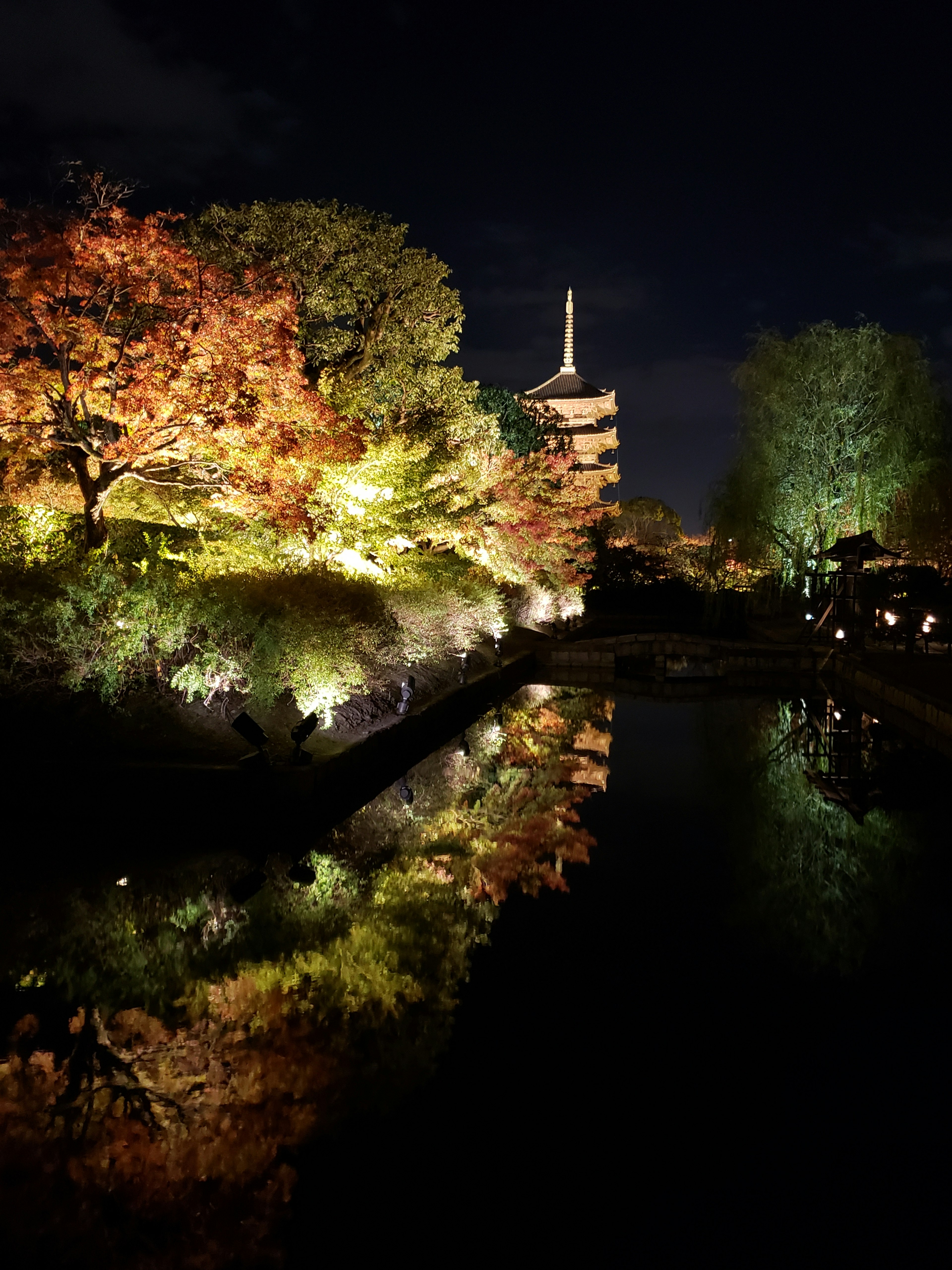 Wunderschöne japanische Landschaft mit beleuchteten Herbstblättern und Reflexionen auf dem Teich bei Nacht