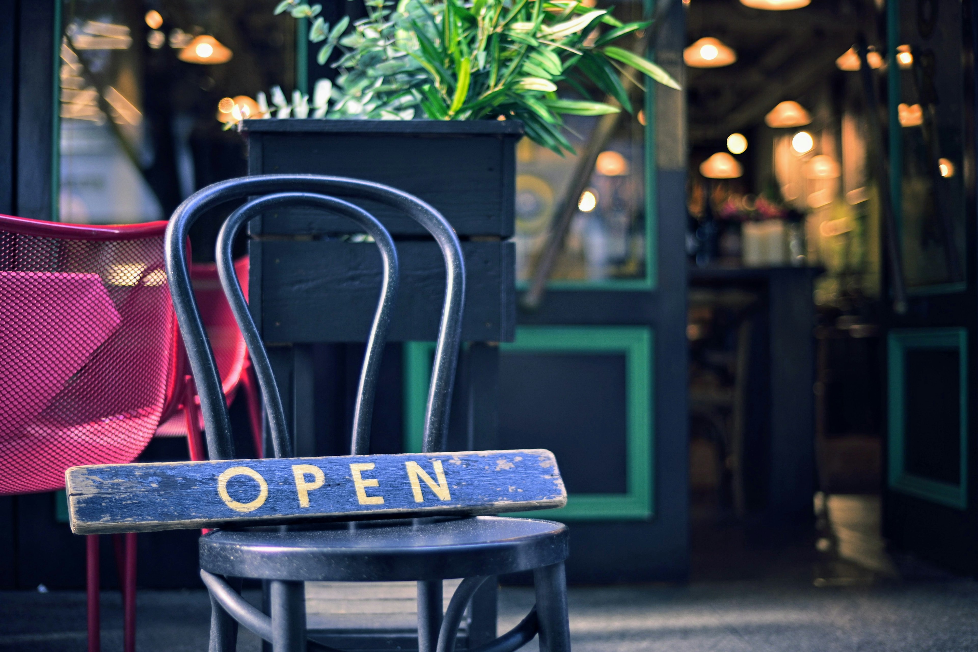 Open sign on a black chair with green plant in the background