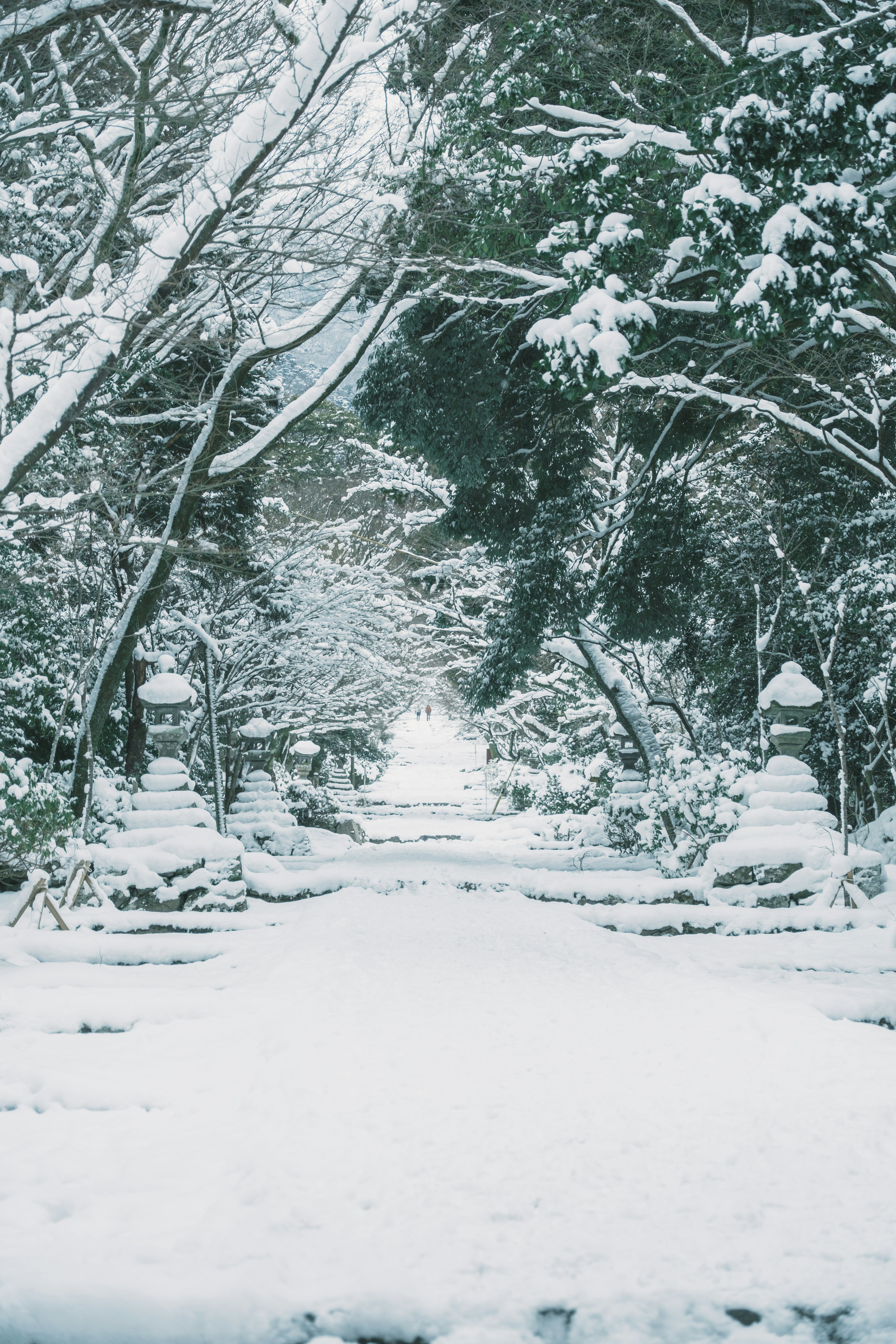 Snow-covered serene pathway surrounded by trees