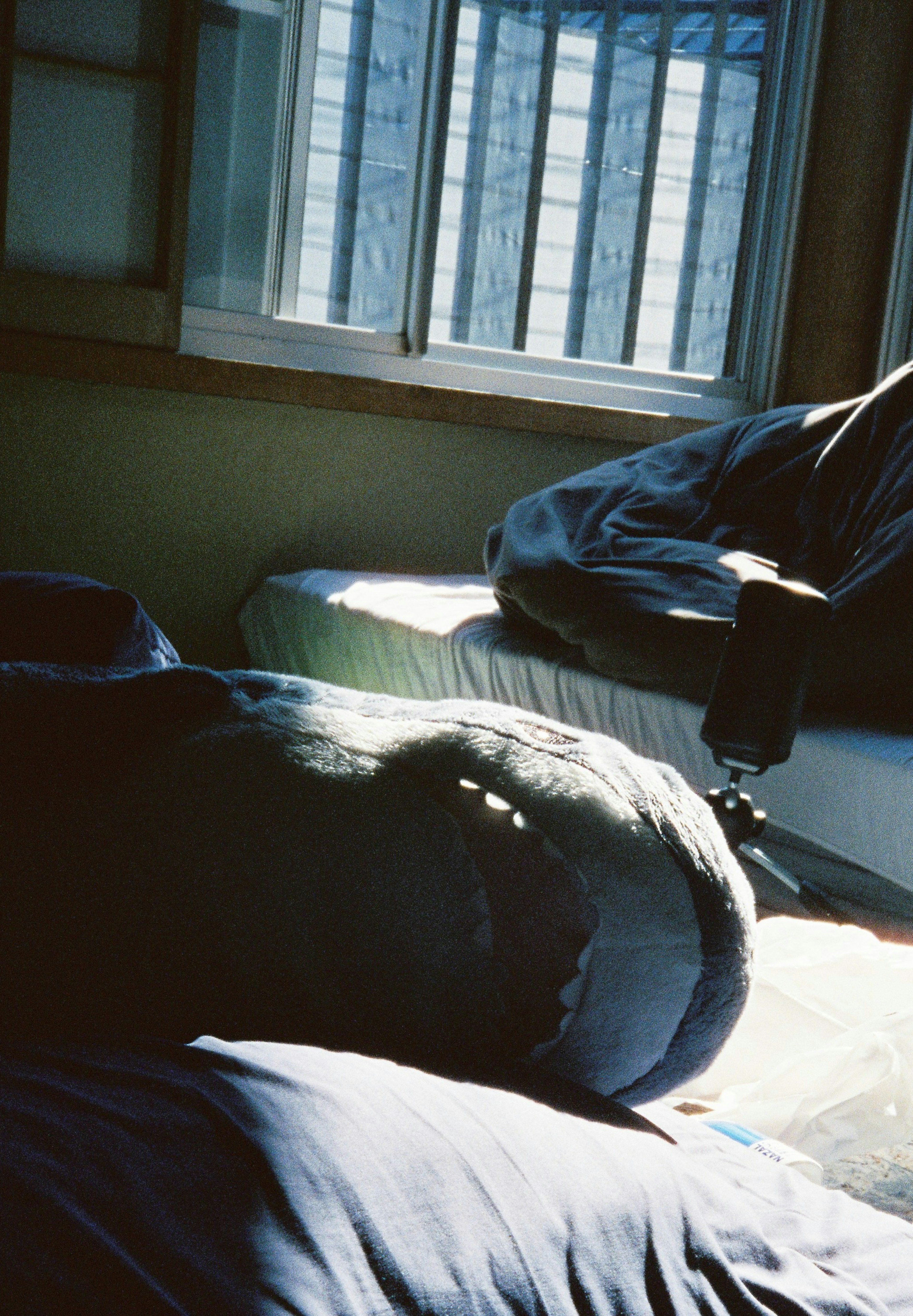 Silhouette of a person sleeping in a dim room with beds