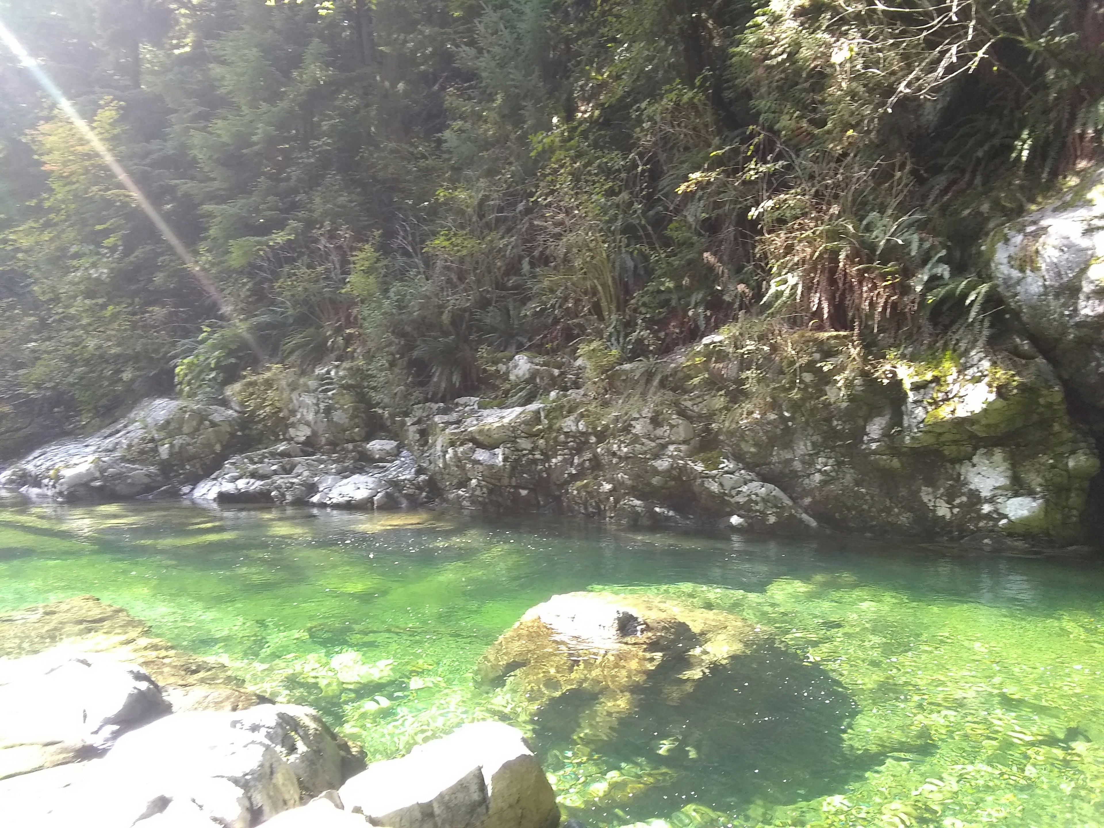 Natural landscape featuring green water and rocks