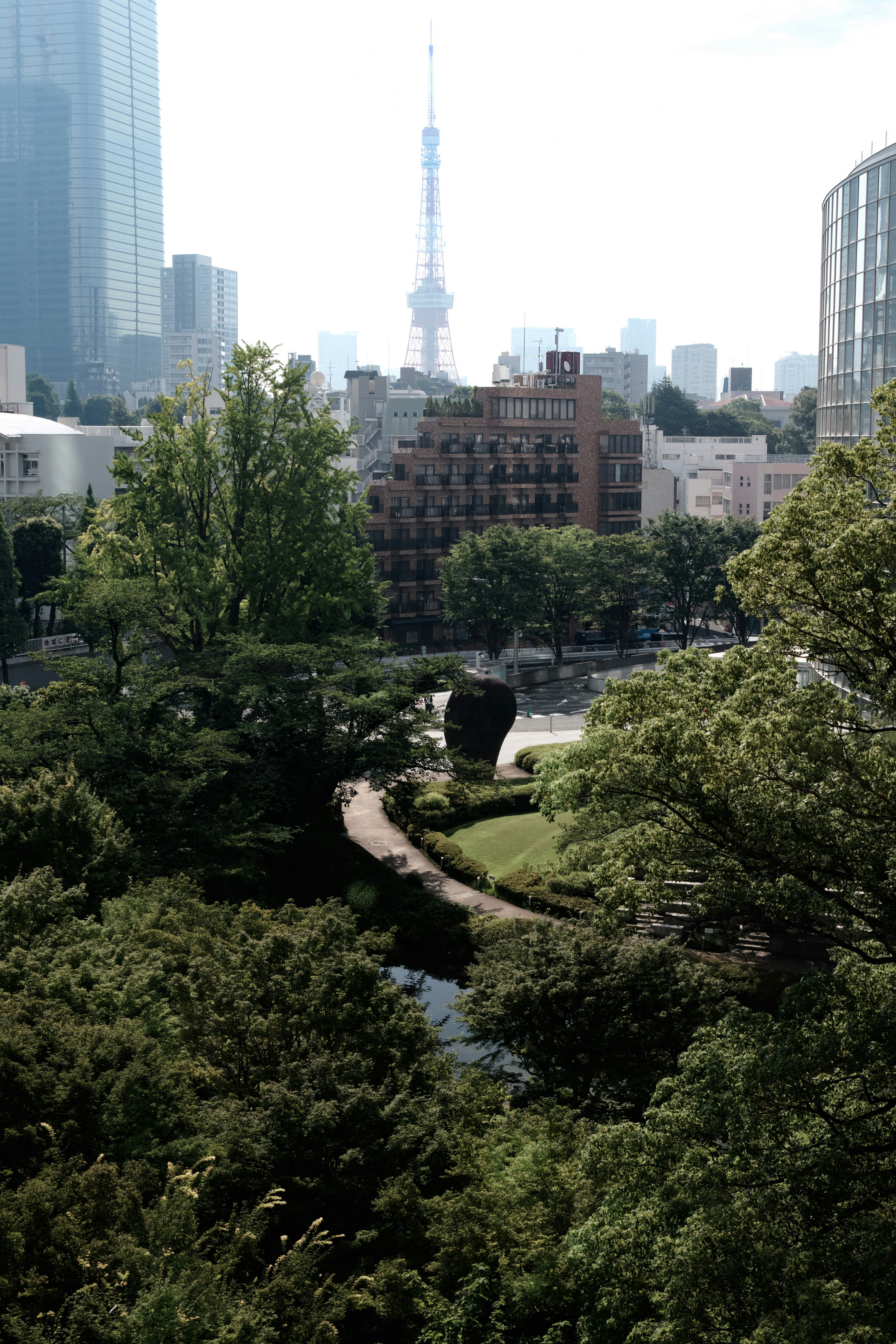 東京スカイツリーを背景にした緑豊かな公園の風景