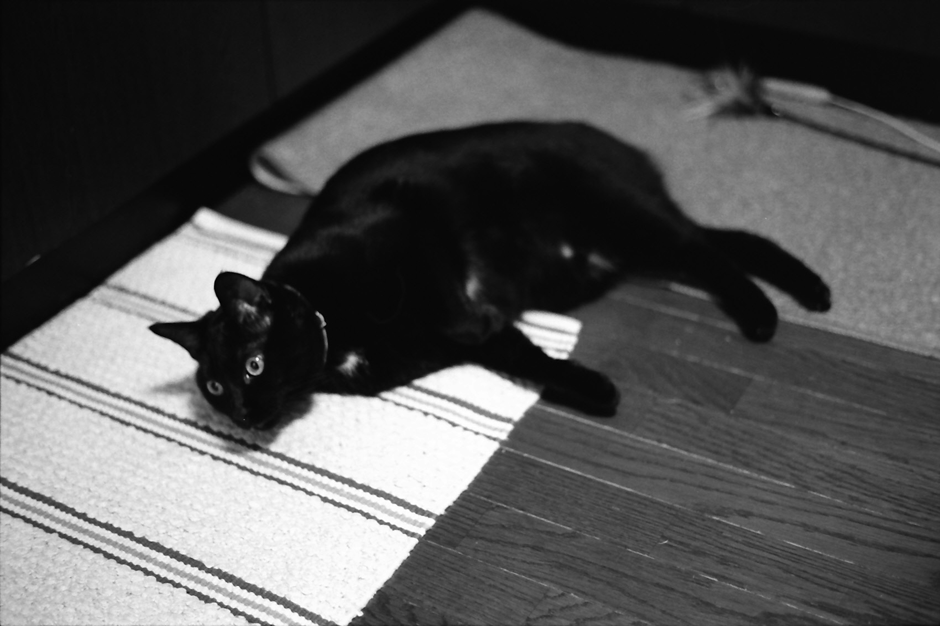 A black cat lying on a striped mat