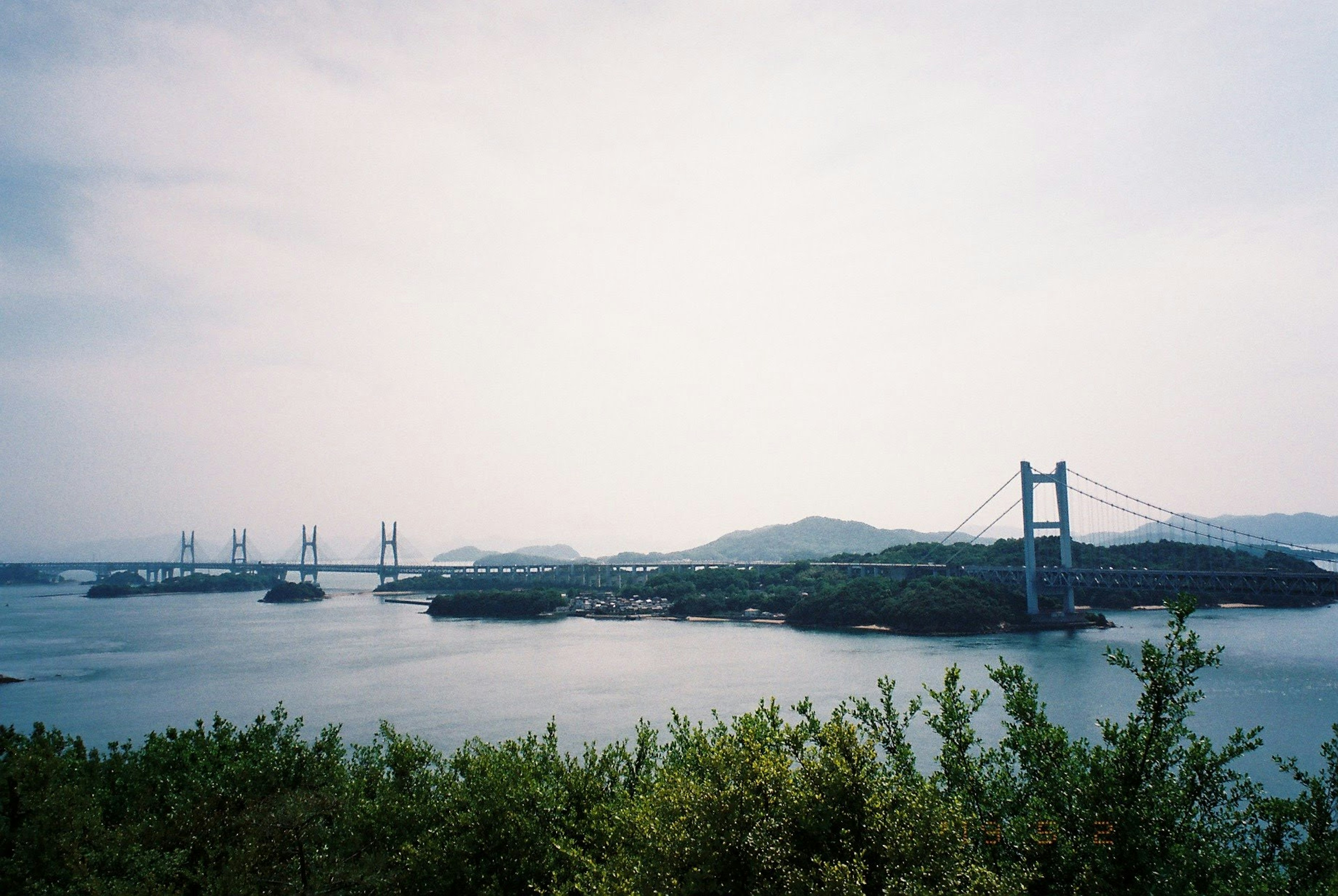 View of a bridge over water with green foliage