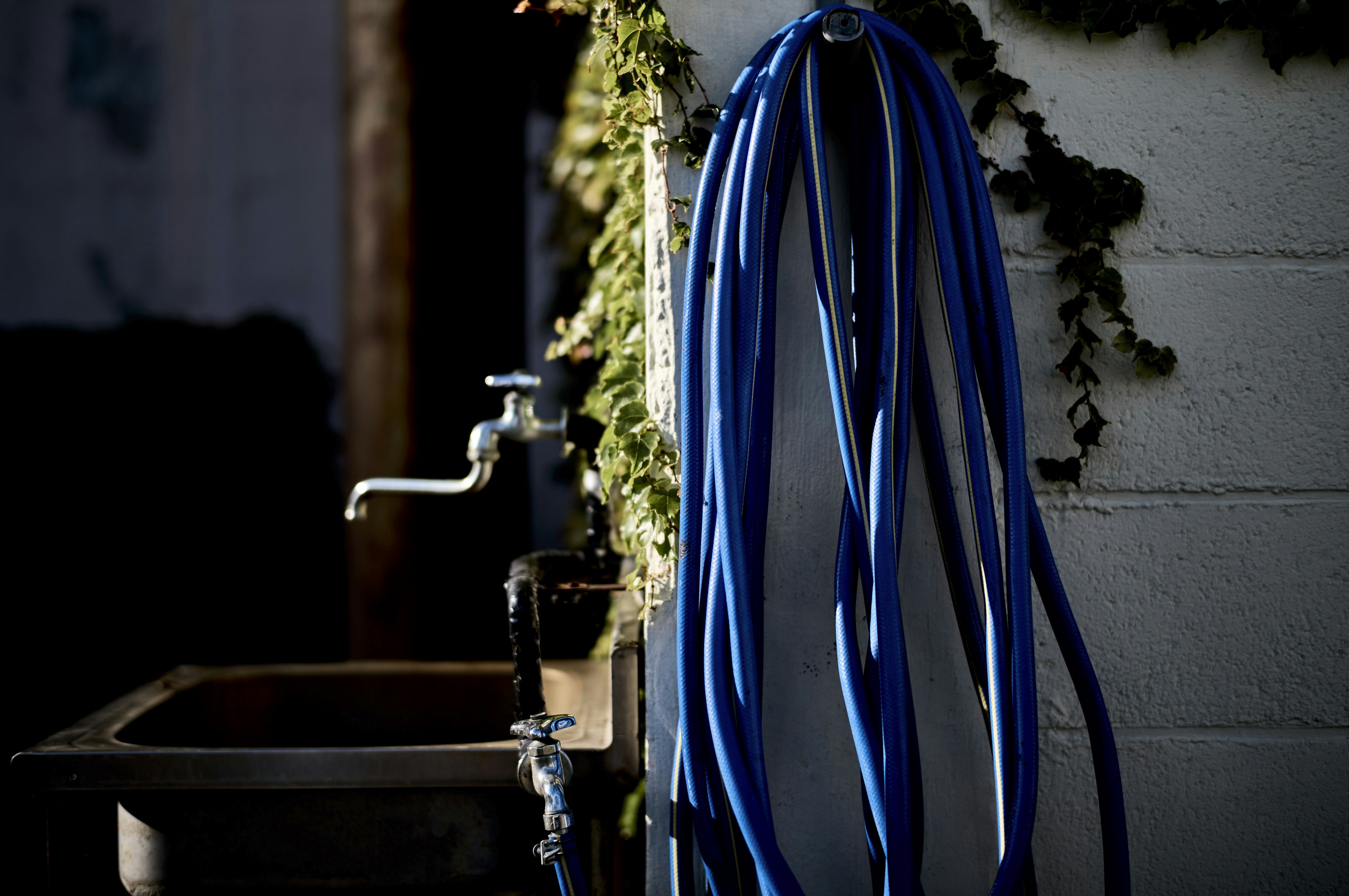 Image of a sink and faucet with blue hoses hanging on the wall