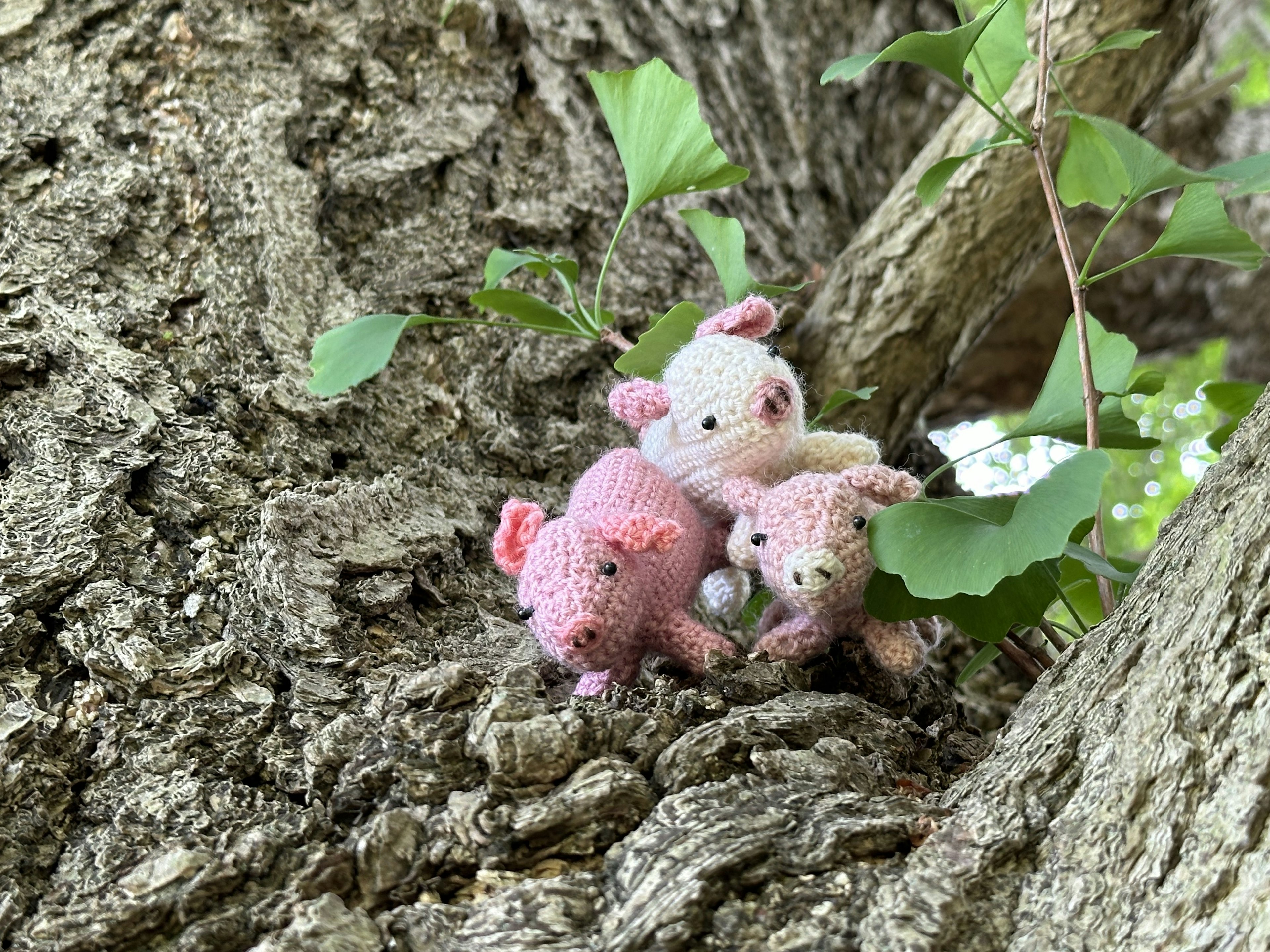 Three small pink plush pigs nestled in a tree