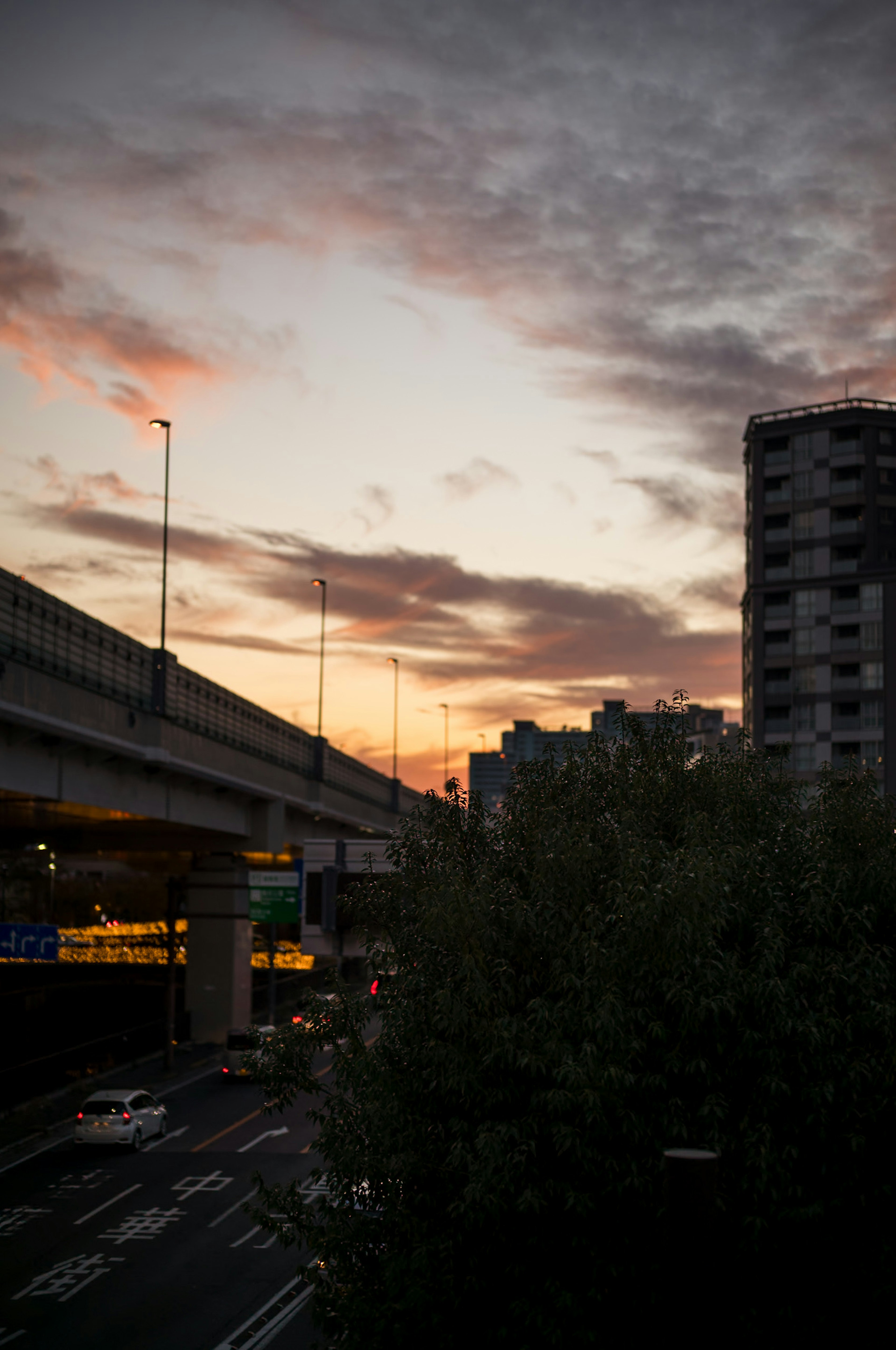 夕焼けの空と高架道路の風景ビルと交通が見える