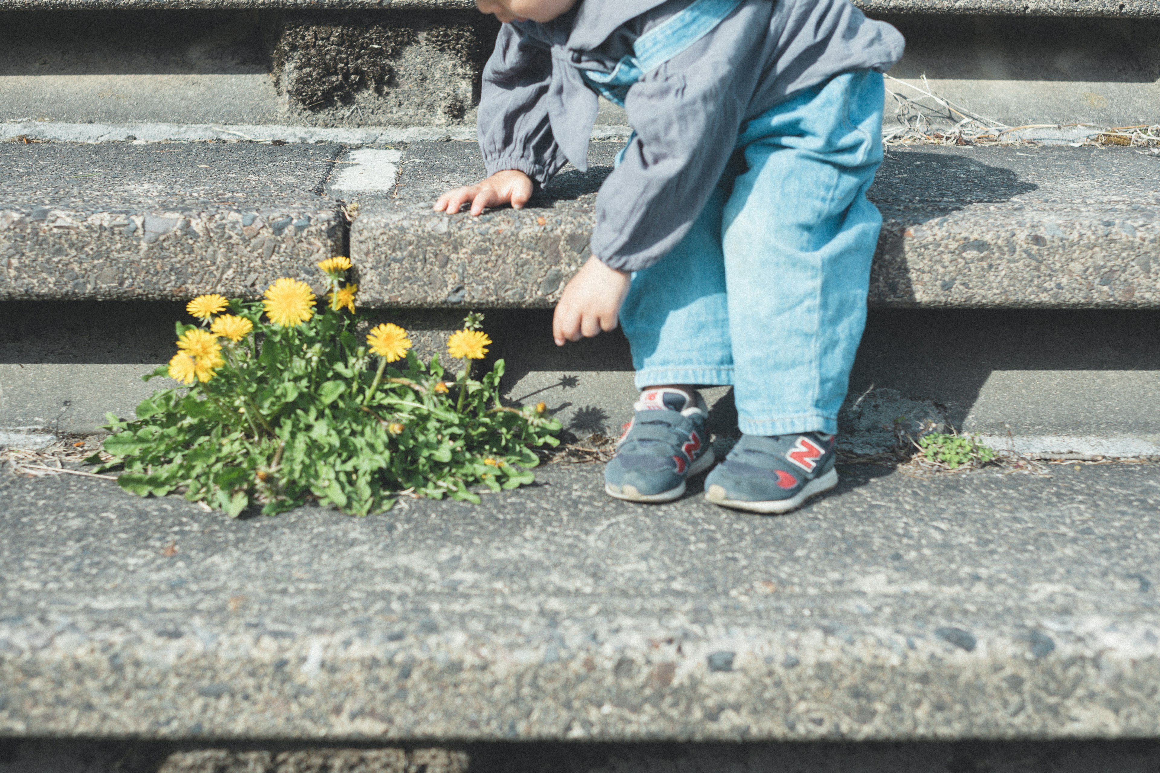 Ein Kind sitzt auf Treppen und beobachtet einen Haufen gelber Löwenzahn