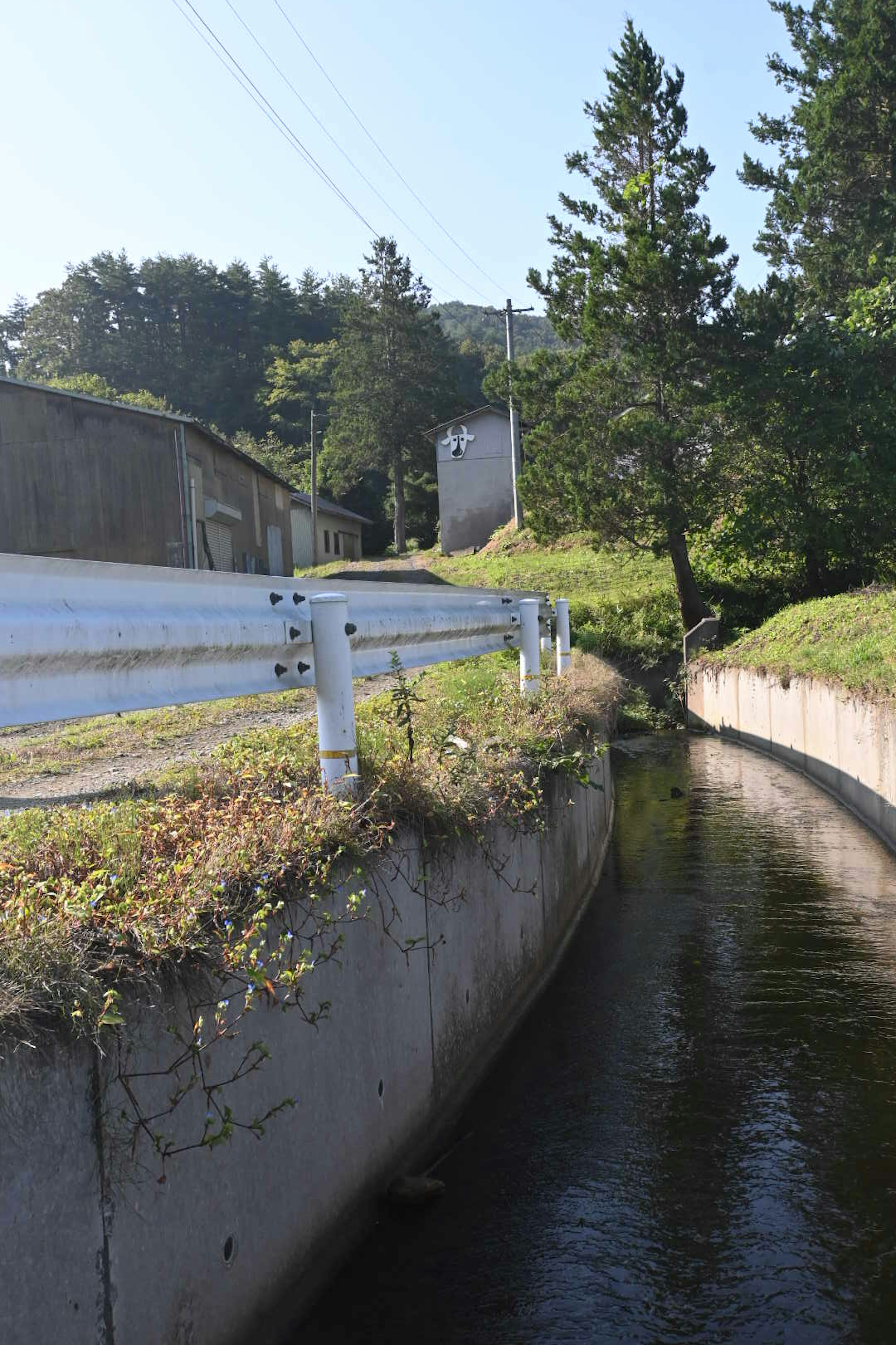 Foto eines kleinen Wasserwegs umgeben von üppigem Grün