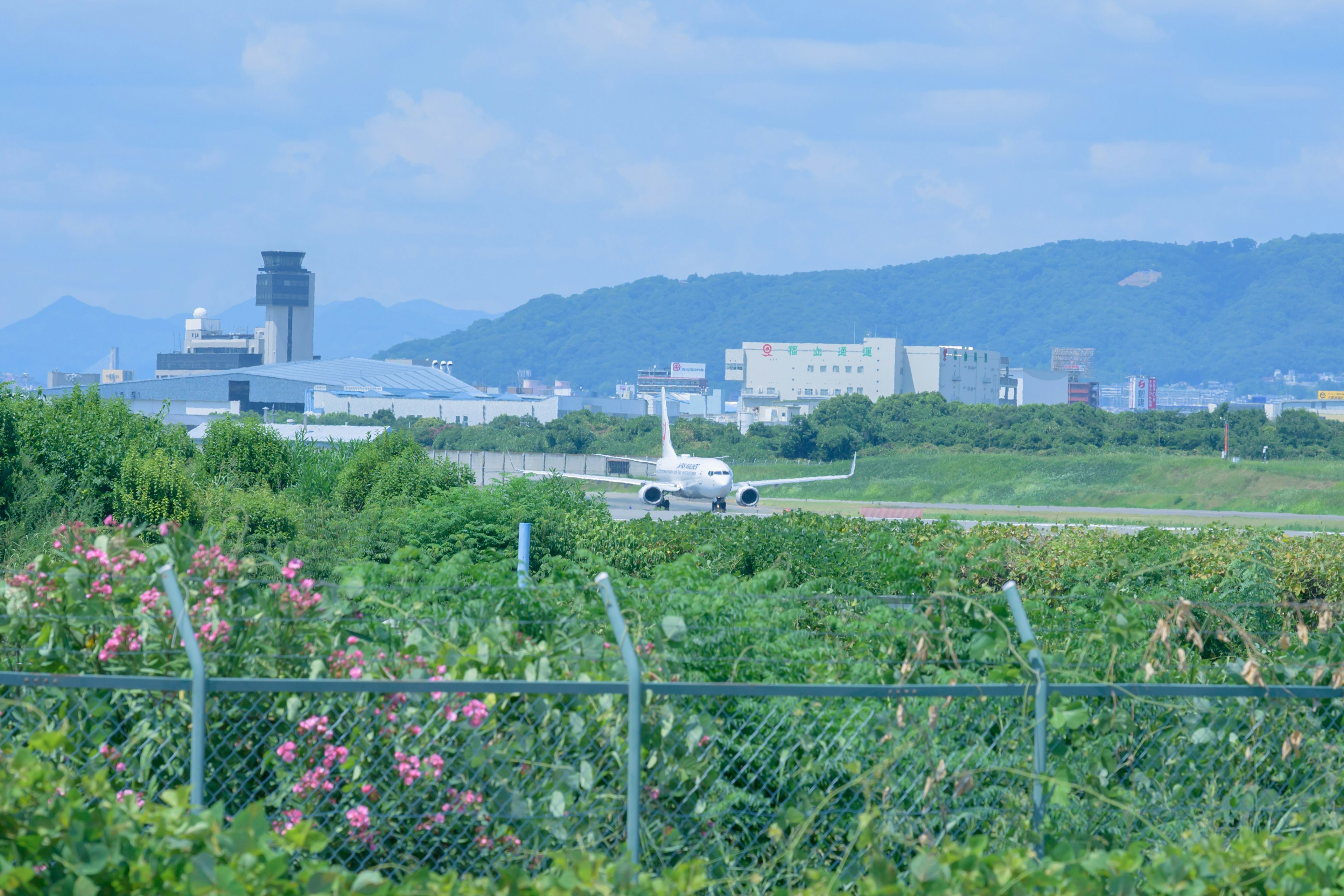 Airplane taxiing on runway with lush greenery and distant buildings