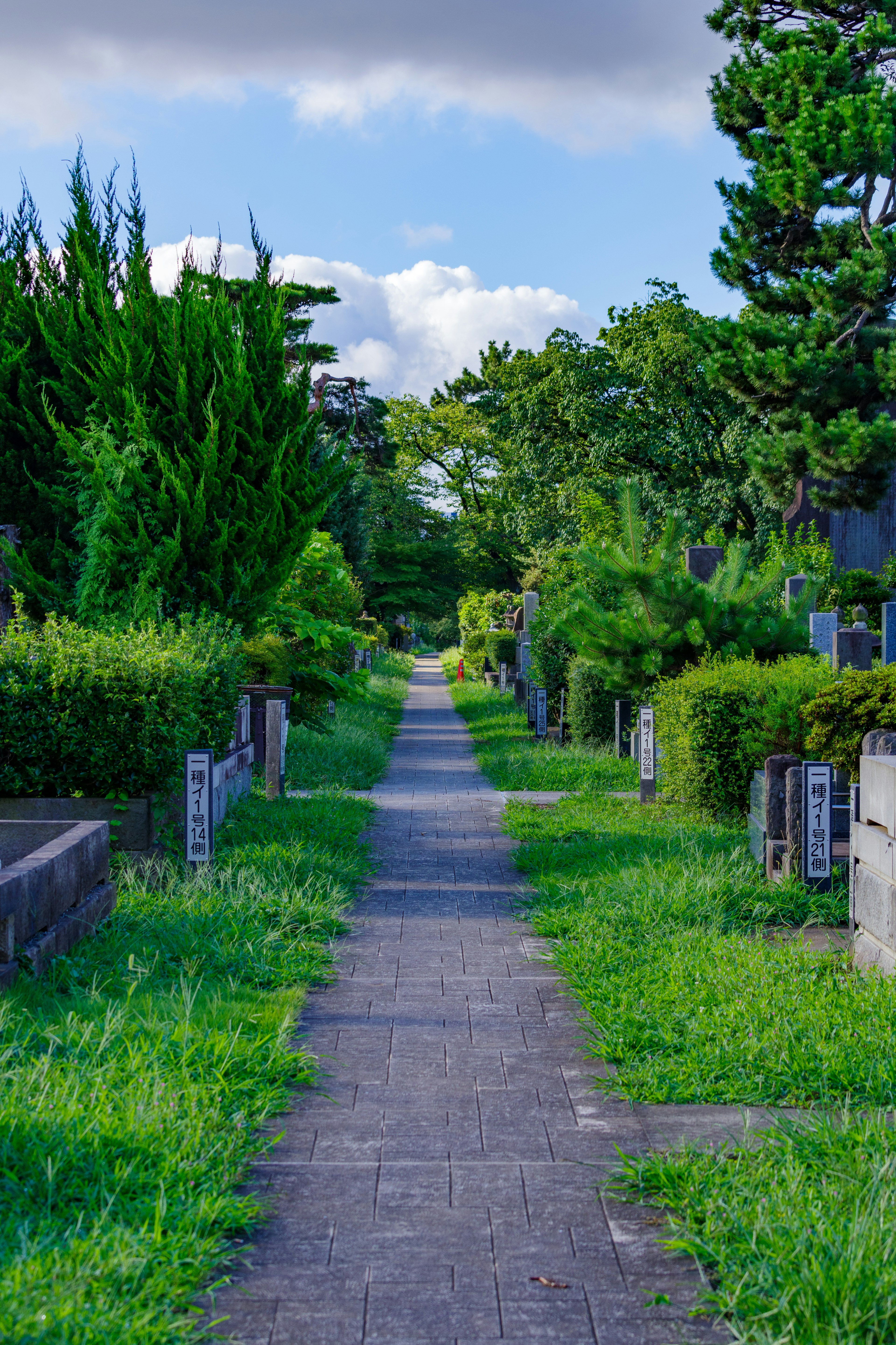 A serene pathway in a cemetery lined with greenery and tombstones