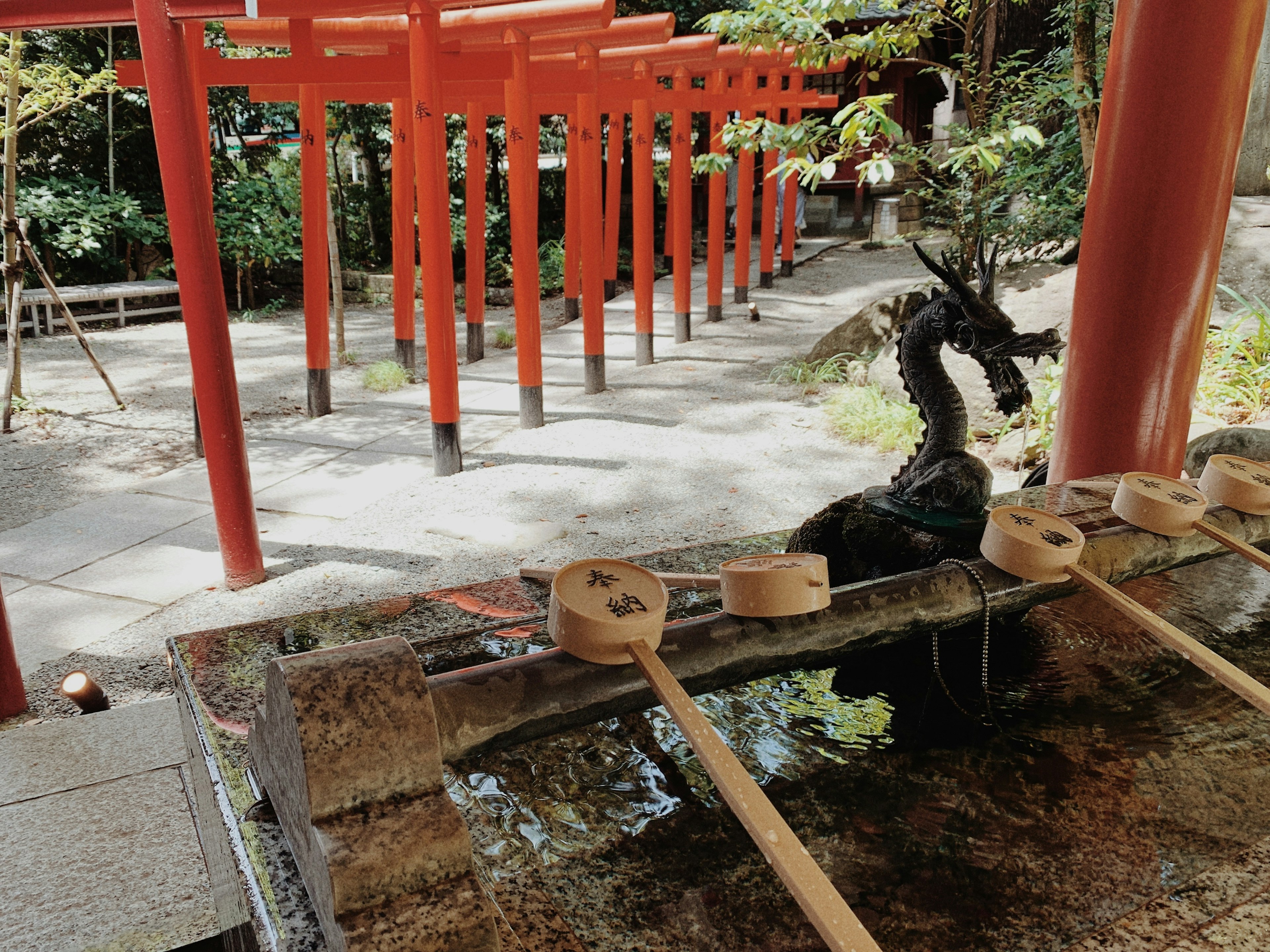 神社的風景，紅色鳥居和龍形水池