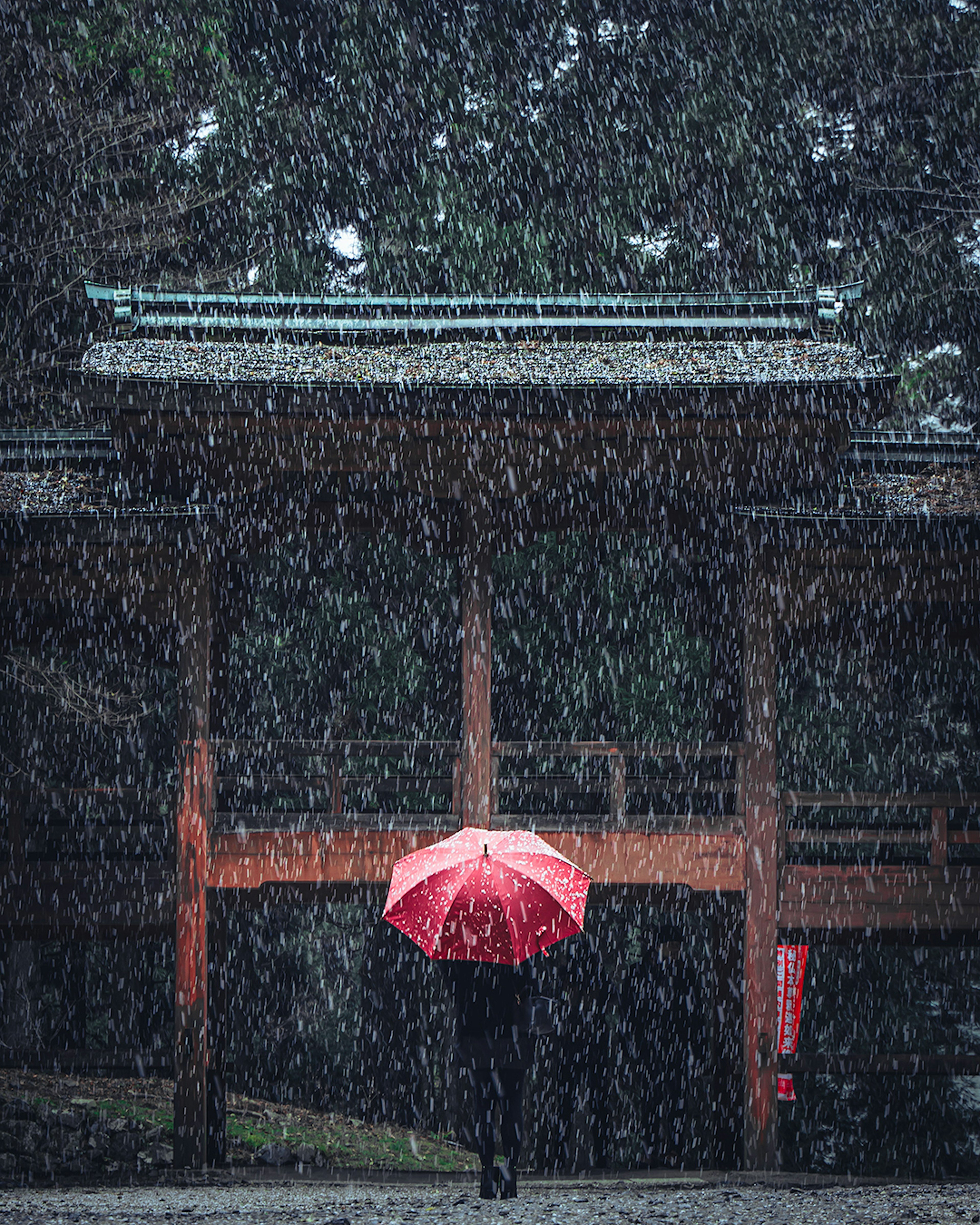 Person, die mit einem roten Regenschirm im Schnee vor einem Tor eines Schreins geht