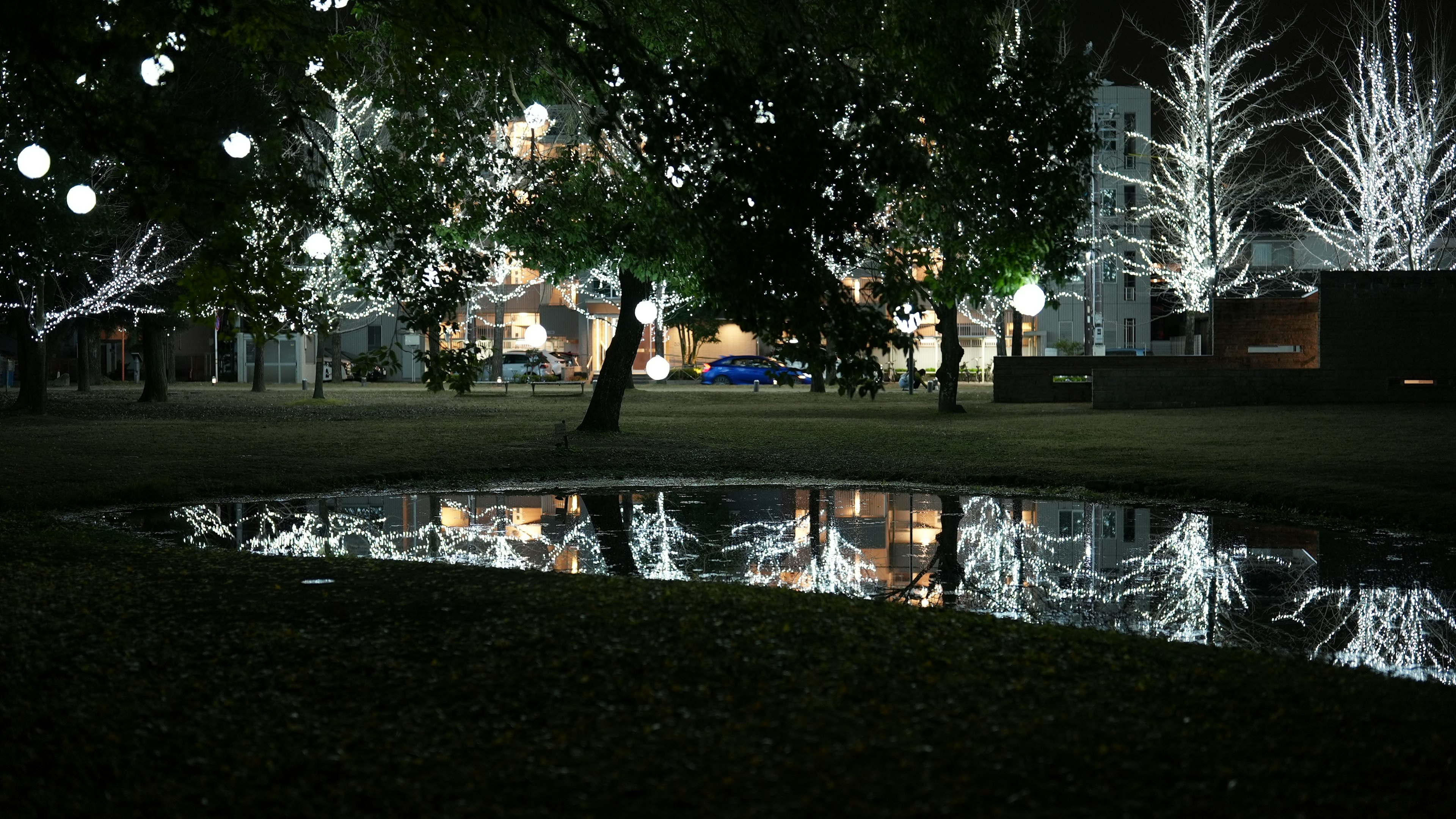 Nachtpark mit leuchtenden weißen Lichtern und Baumreflexionen im Wasser