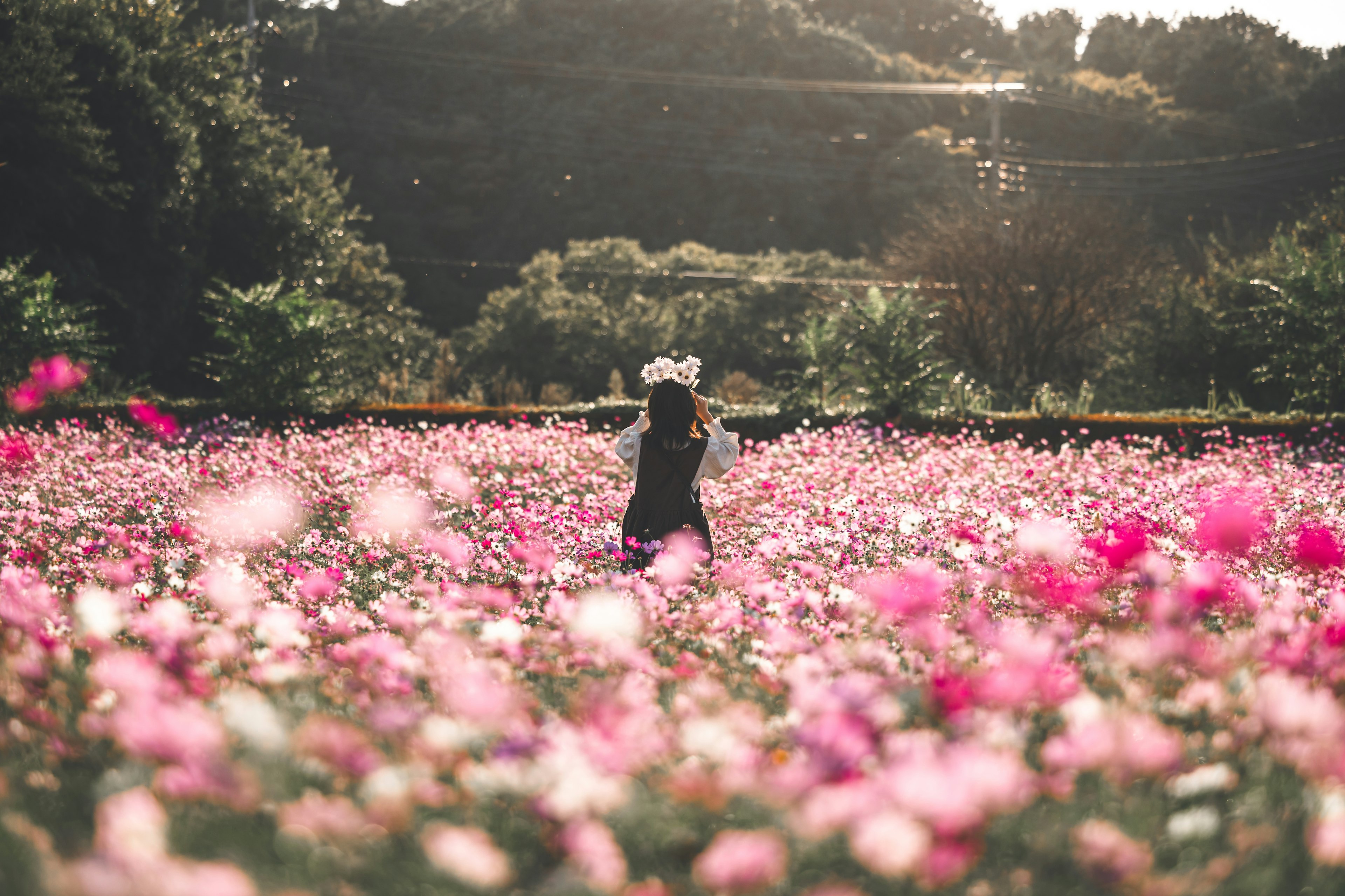 Une femme debout les bras ouverts dans un champ de fleurs