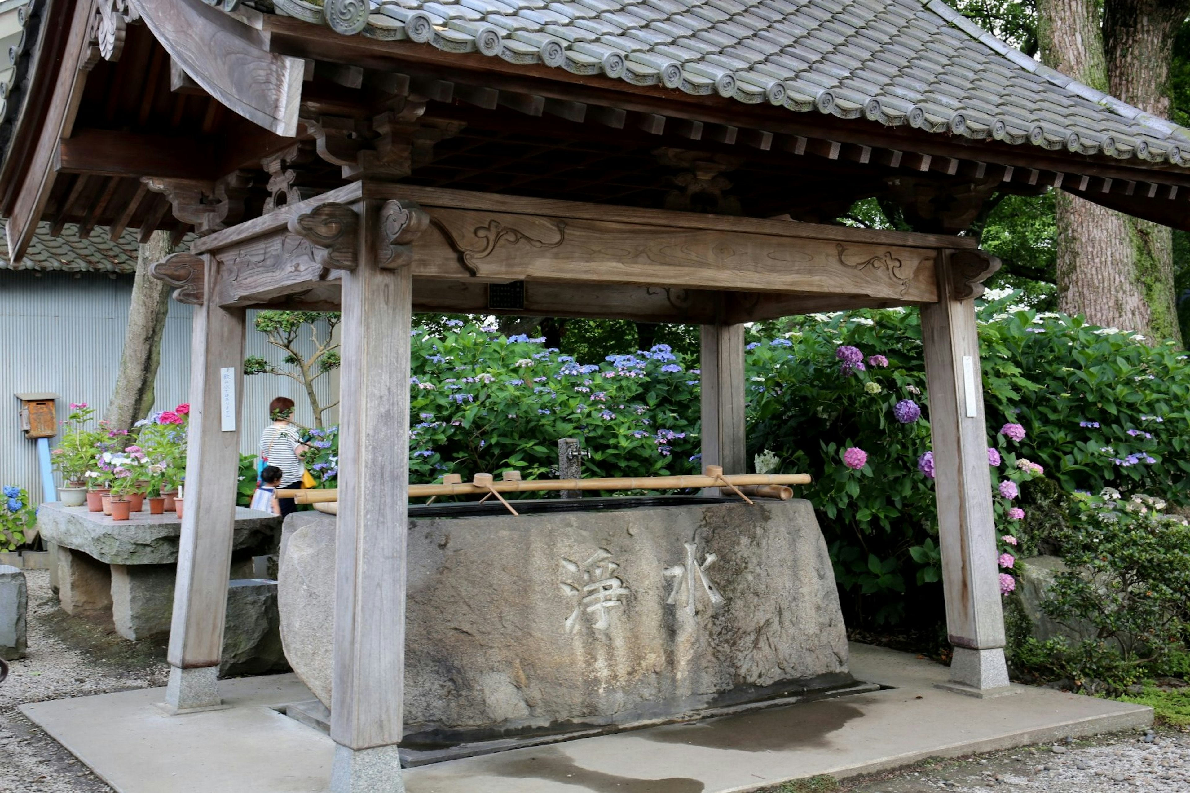 Stone water basin under a wooden roof surrounded by colorful hydrangeas