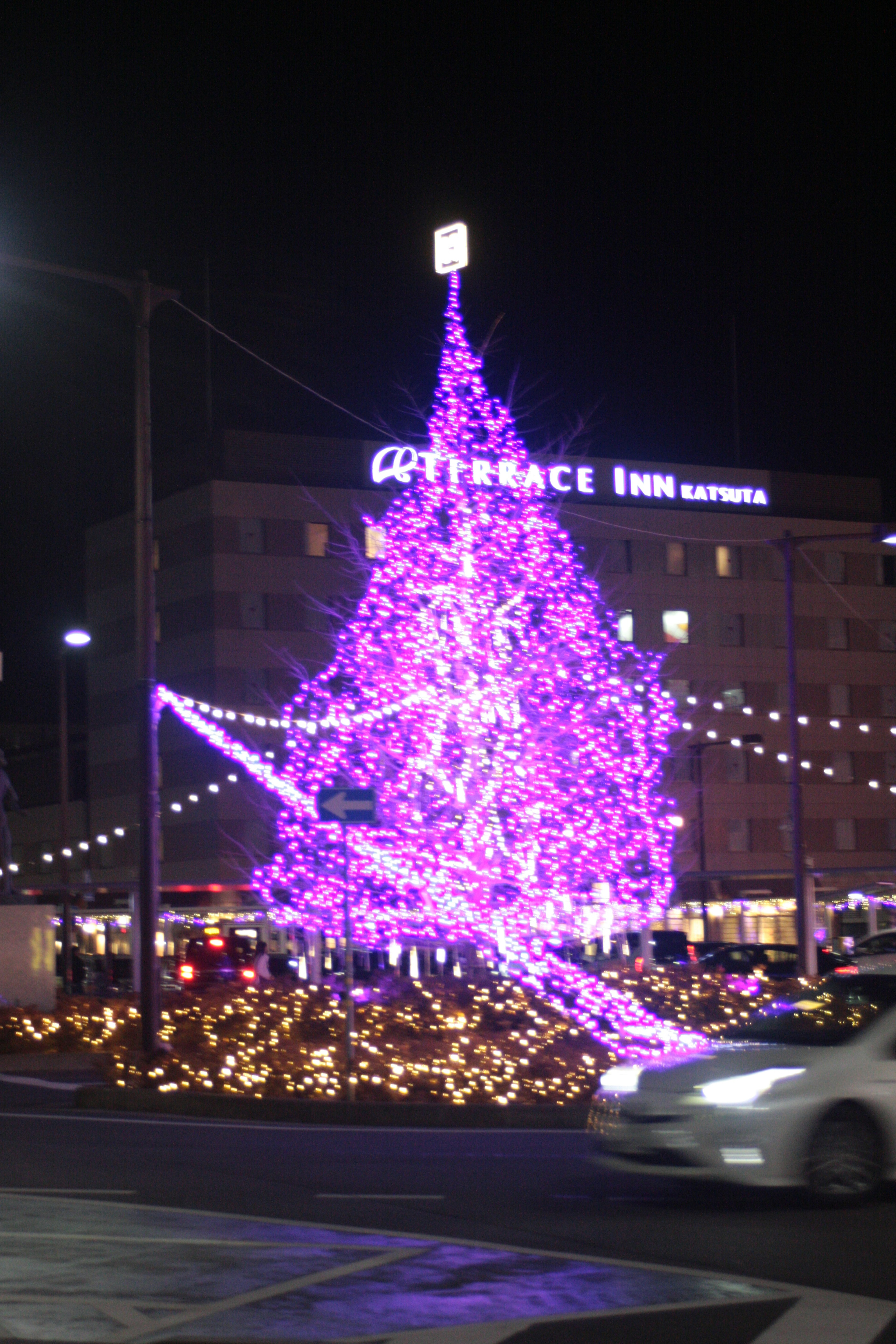 Purple Christmas tree illuminated at night with surrounding lights