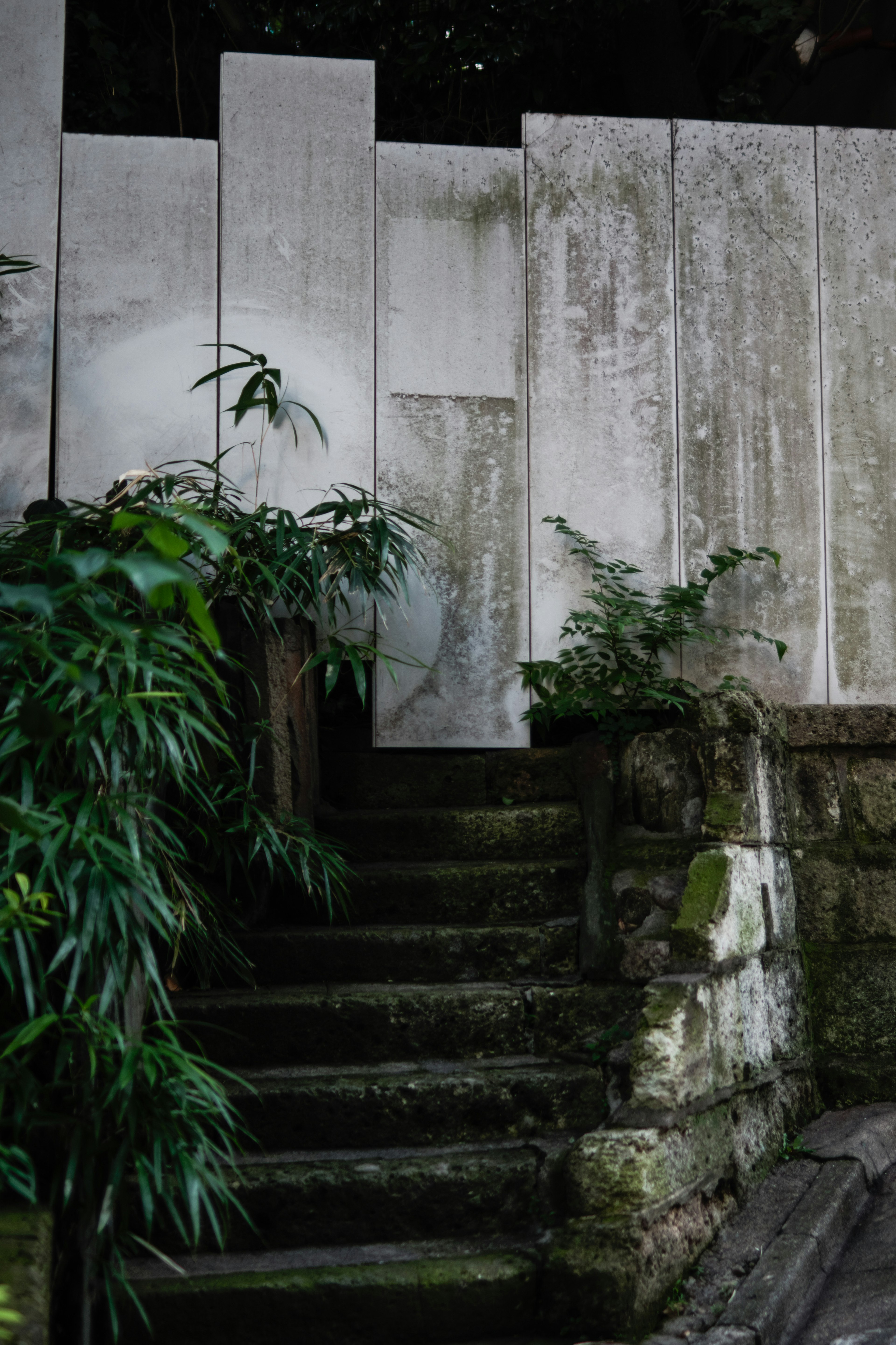 Escaleras de piedra que llevan a una pared blanca con plantas verdes