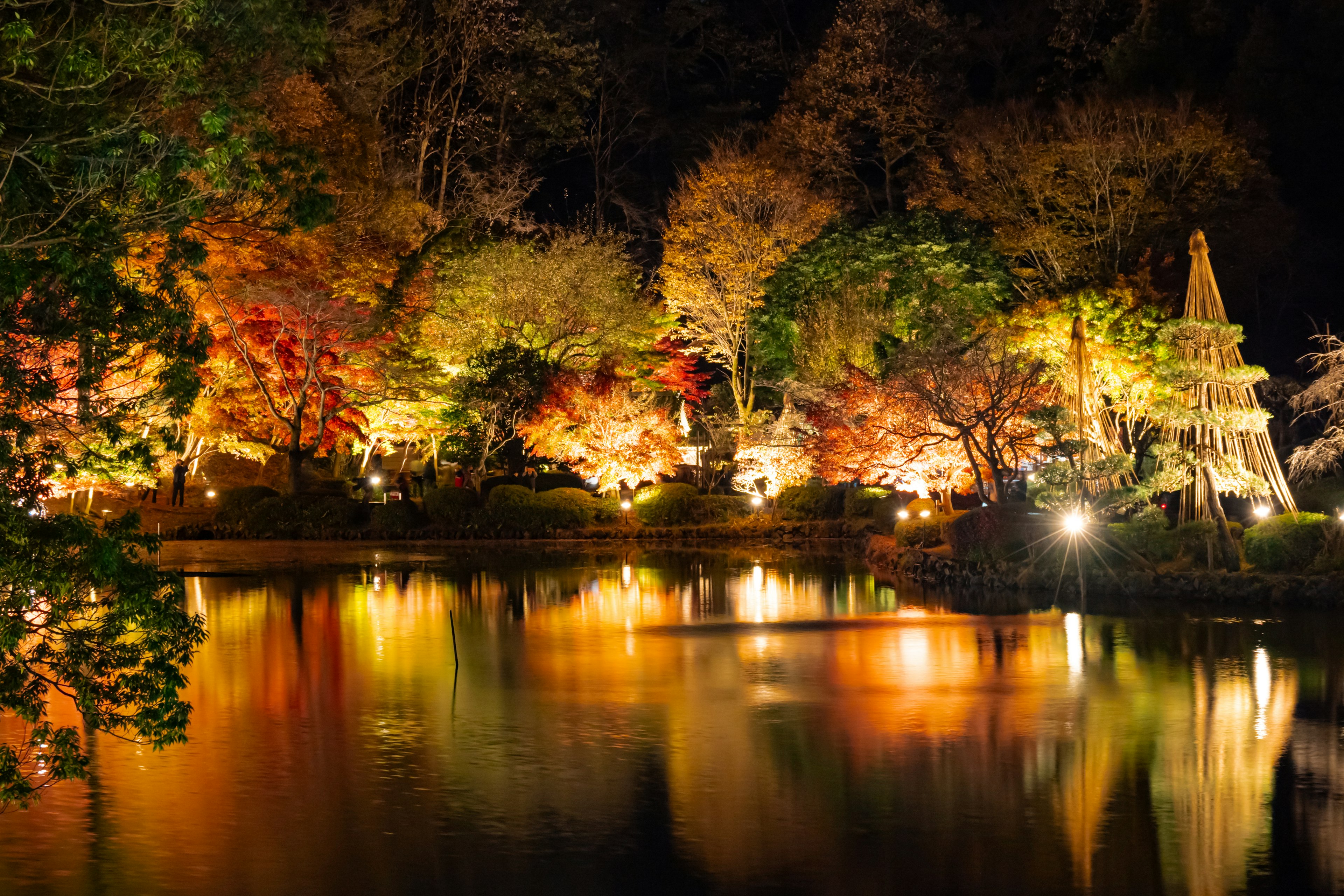 Nighttime park scene with illuminated autumn foliage and a tranquil pond