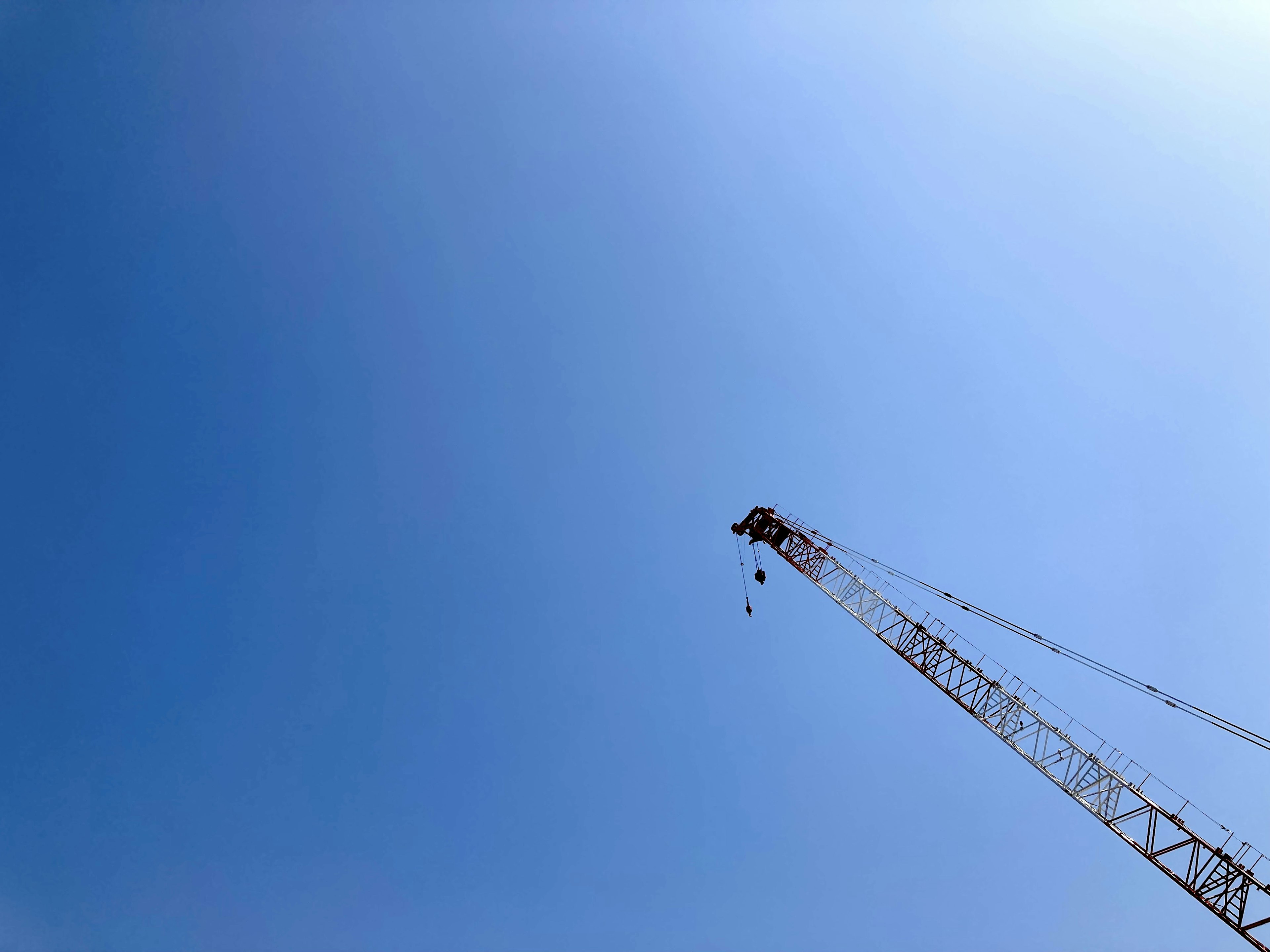 Grue s'élevant vers un ciel bleu clair