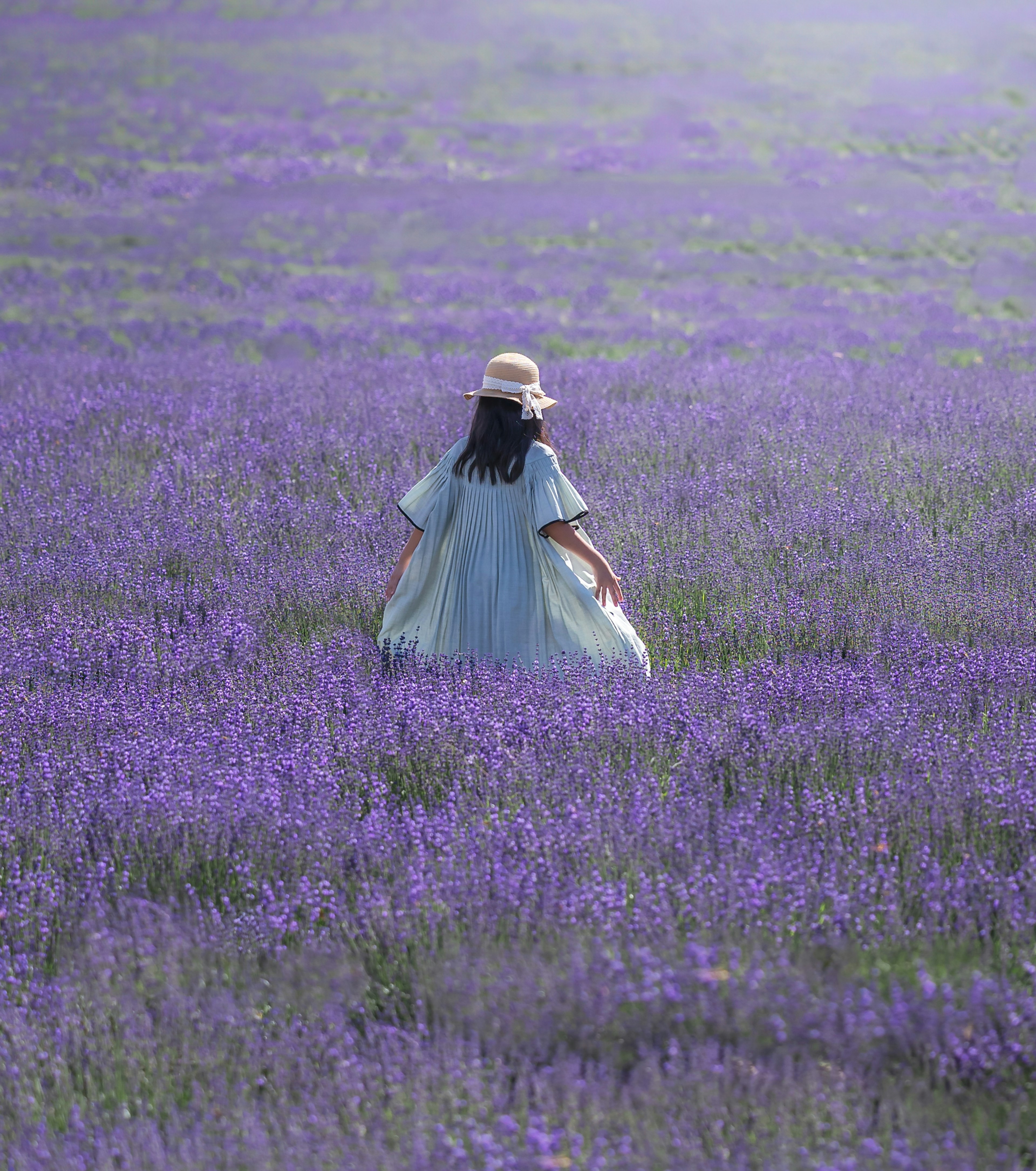 Una mujer con un vestido azul claro caminando a través de un campo de flores moradas