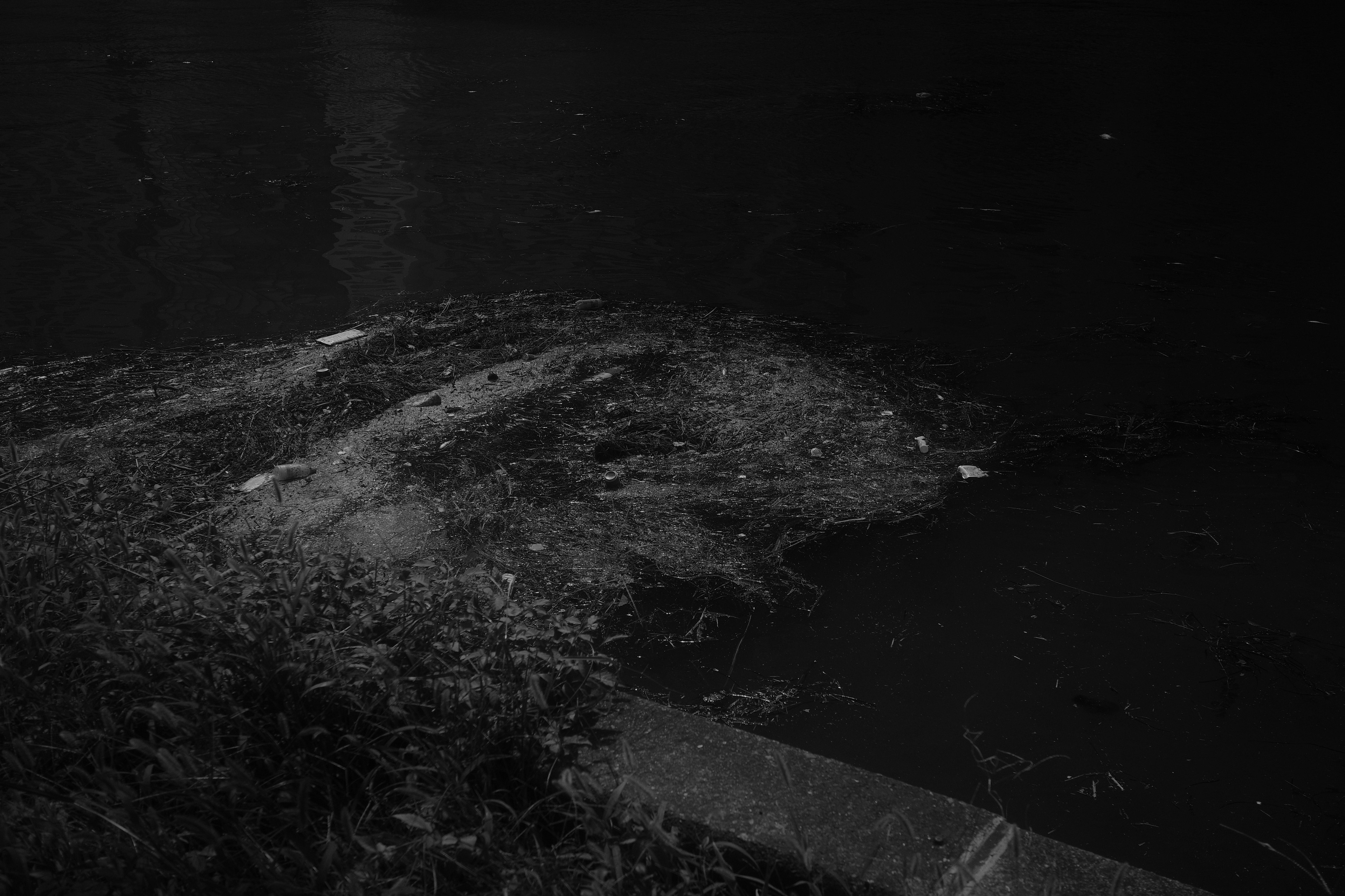 Ein Haufen Gras und Abfall, der auf einer dunklen Wasseroberfläche schwimmt