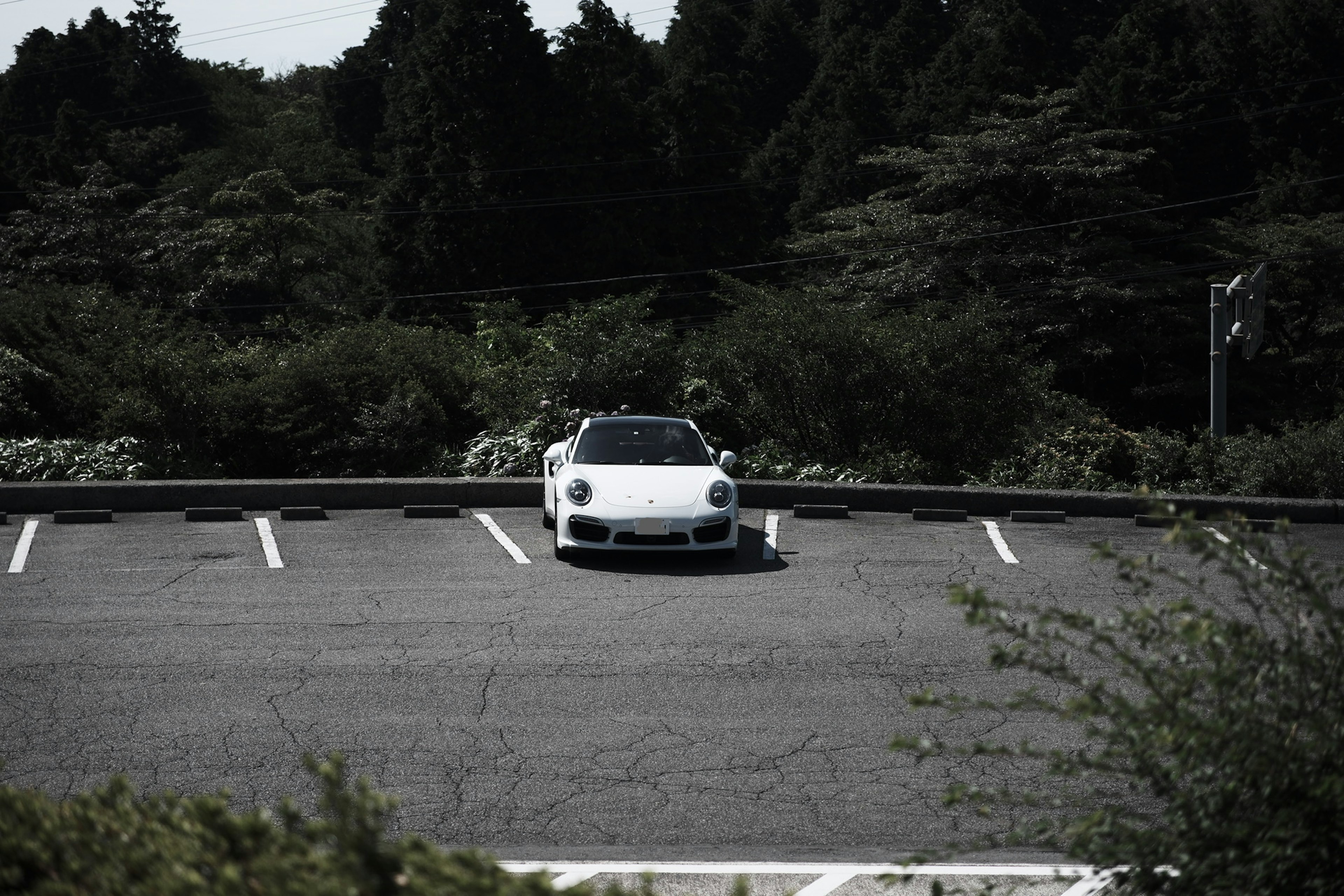 A white sports car parked in an empty parking lot surrounded by greenery