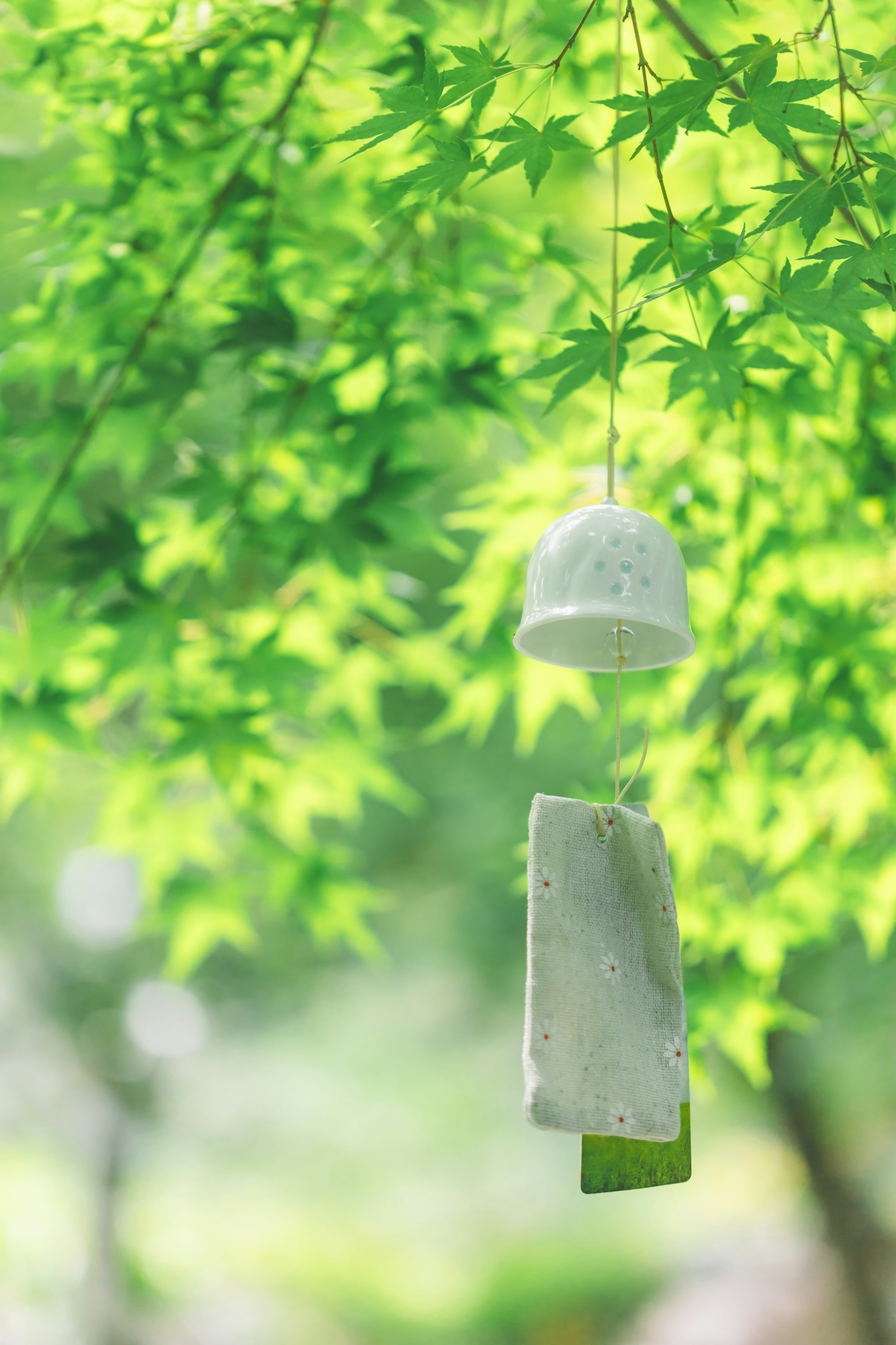 Cloche en vent suspendue parmi des feuilles vertes avec un arrière-plan serein