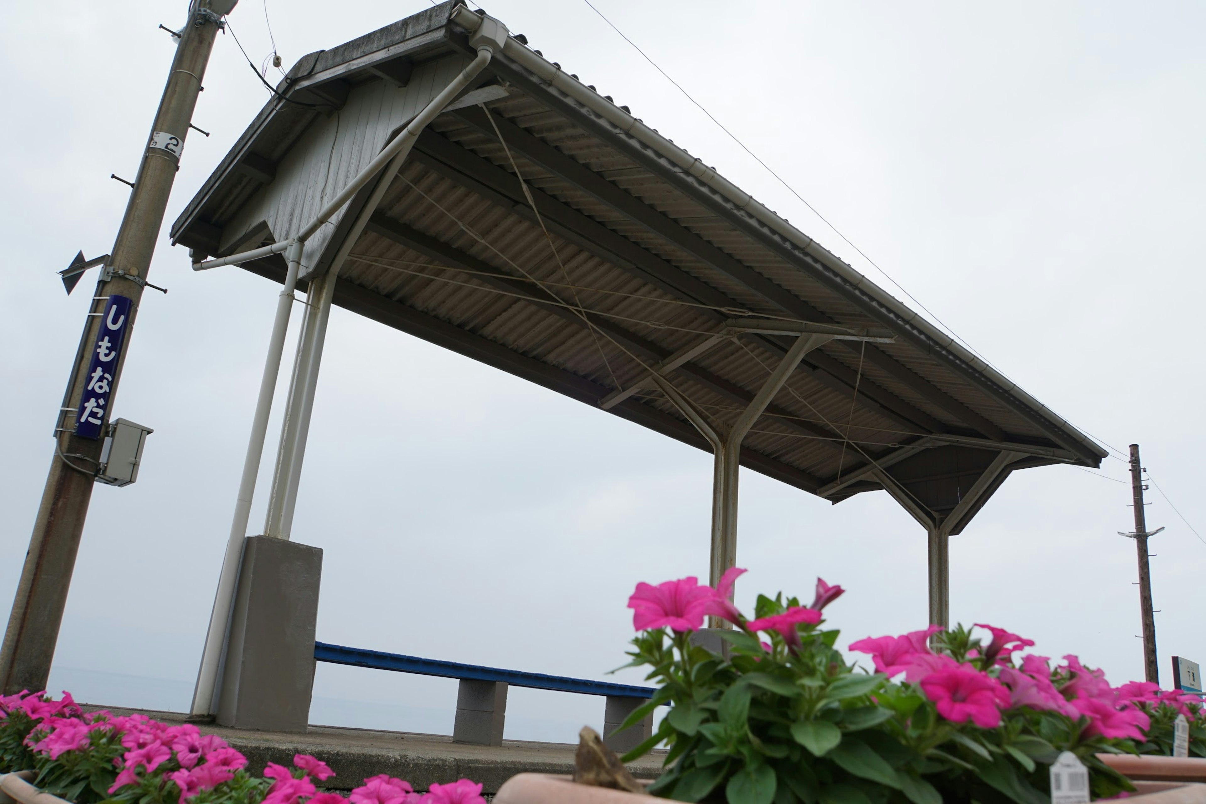 花が咲いた待合室の屋根と電柱が見える風景