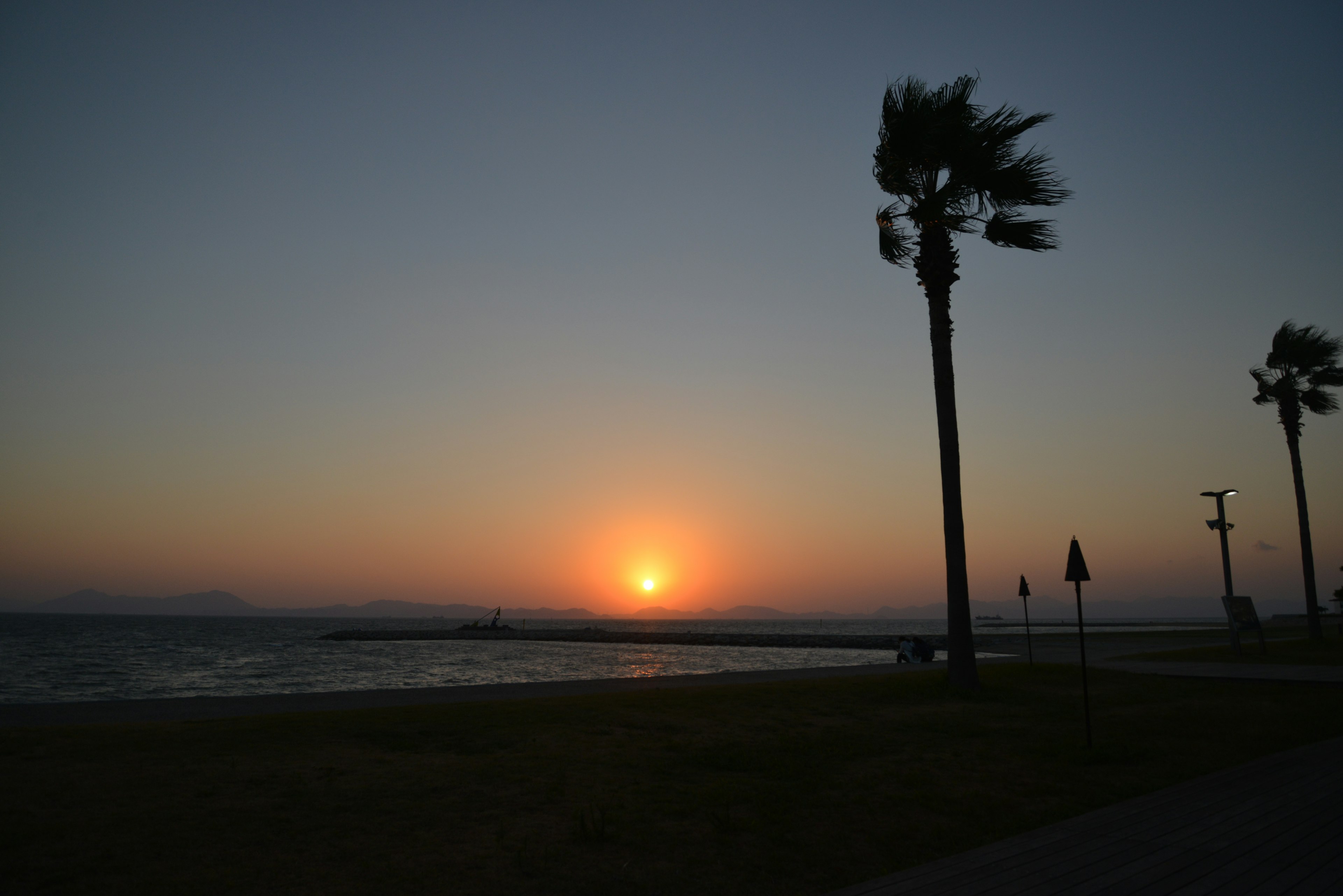 Sunset over the ocean with palm trees