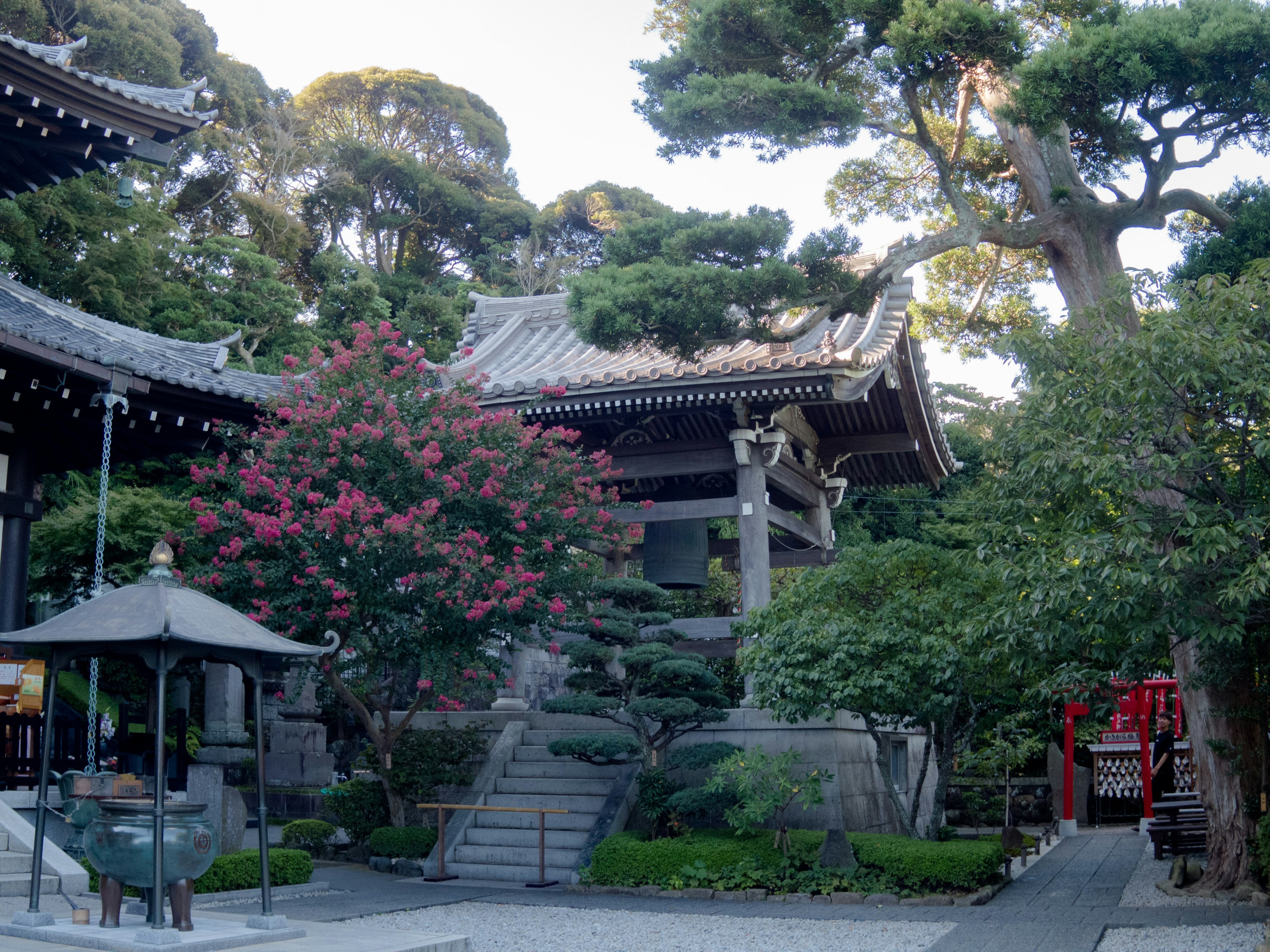 歴史的な寺院の庭にある緑豊かな植物と花々