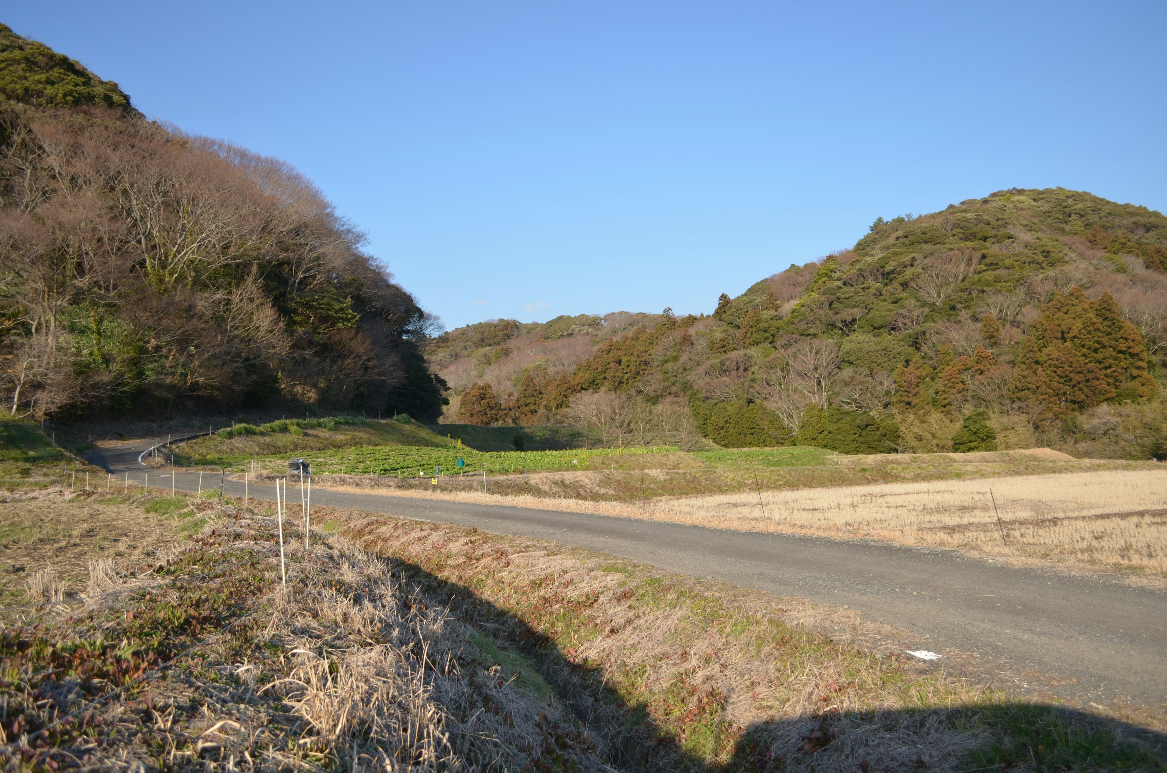 一條蜿蜒穿過綠色田野和山丘的道路