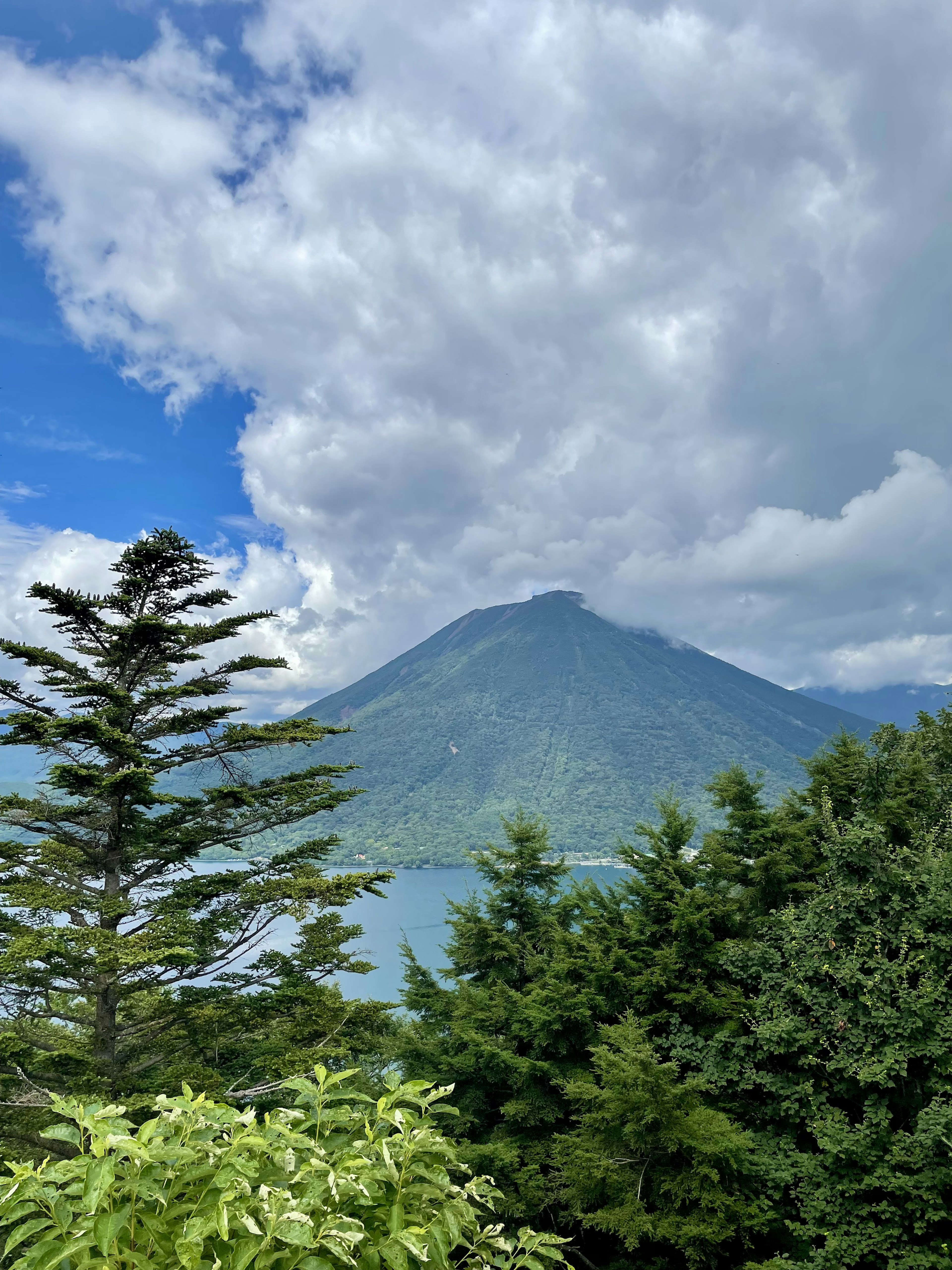 湖と山を背景にした緑豊かな風景