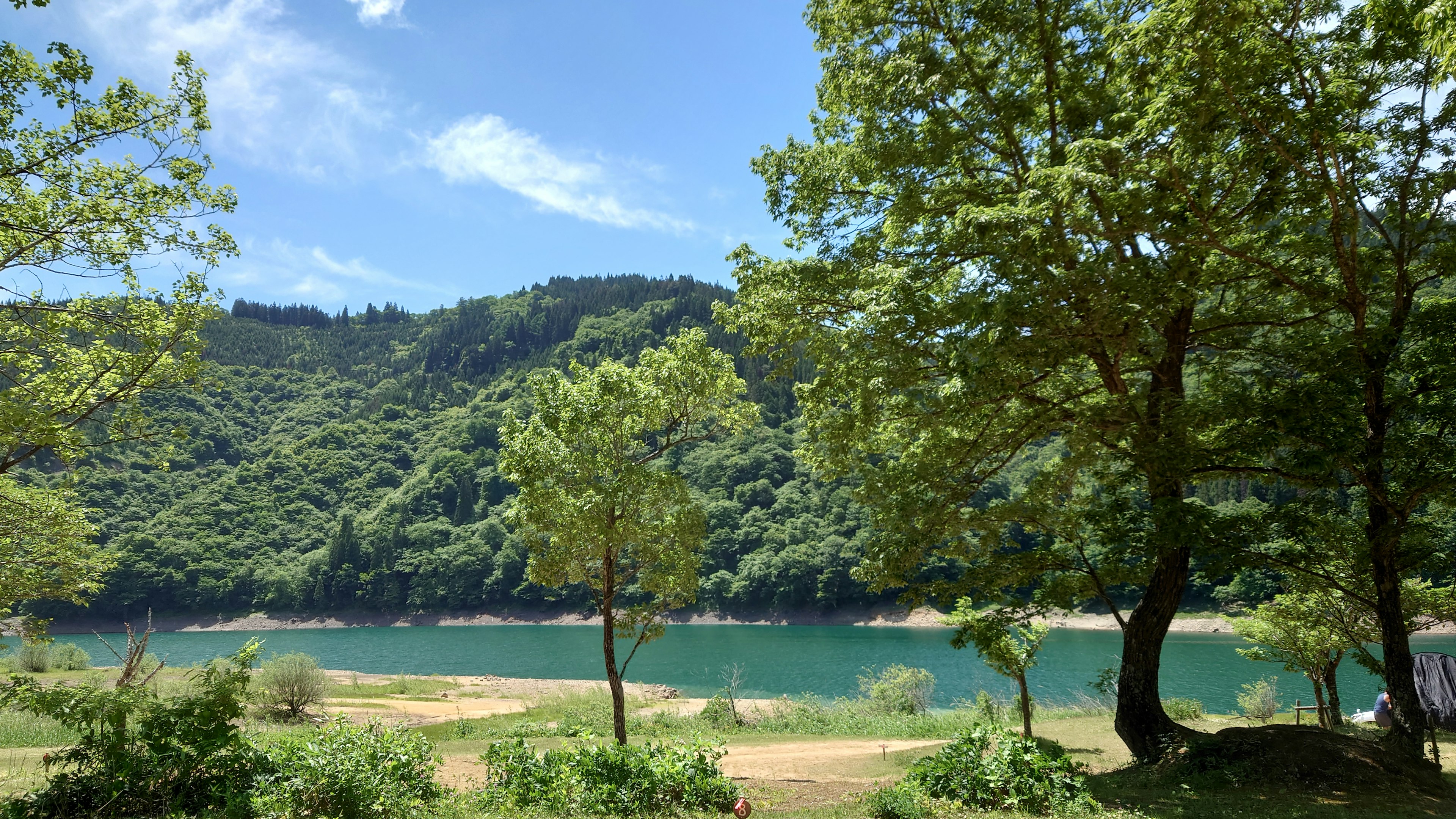 Vista escénica de un lago rodeado de exuberante vegetación y árboles