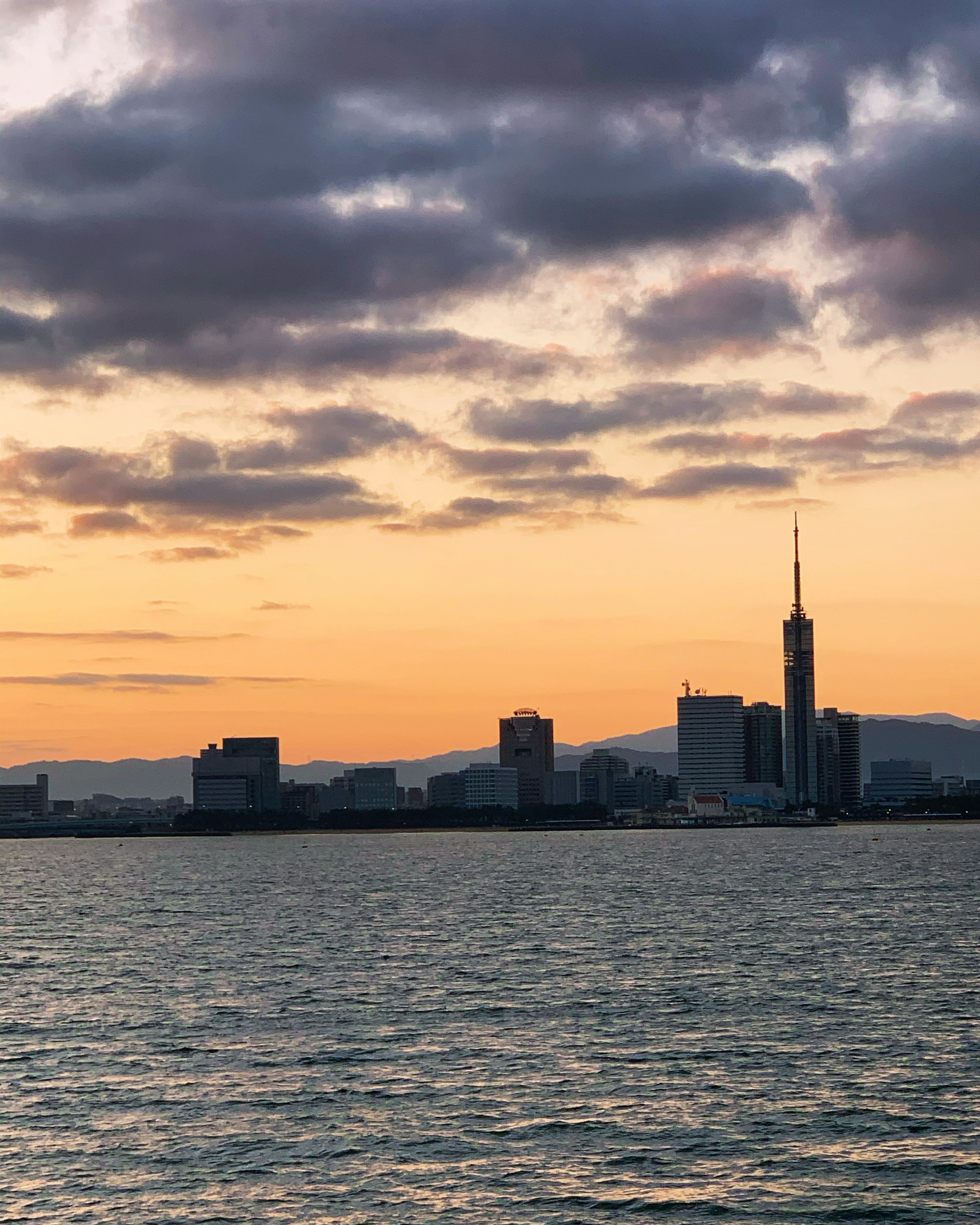 夕焼けの空と海を背景にした都市のスカイラインにそびえるタワー