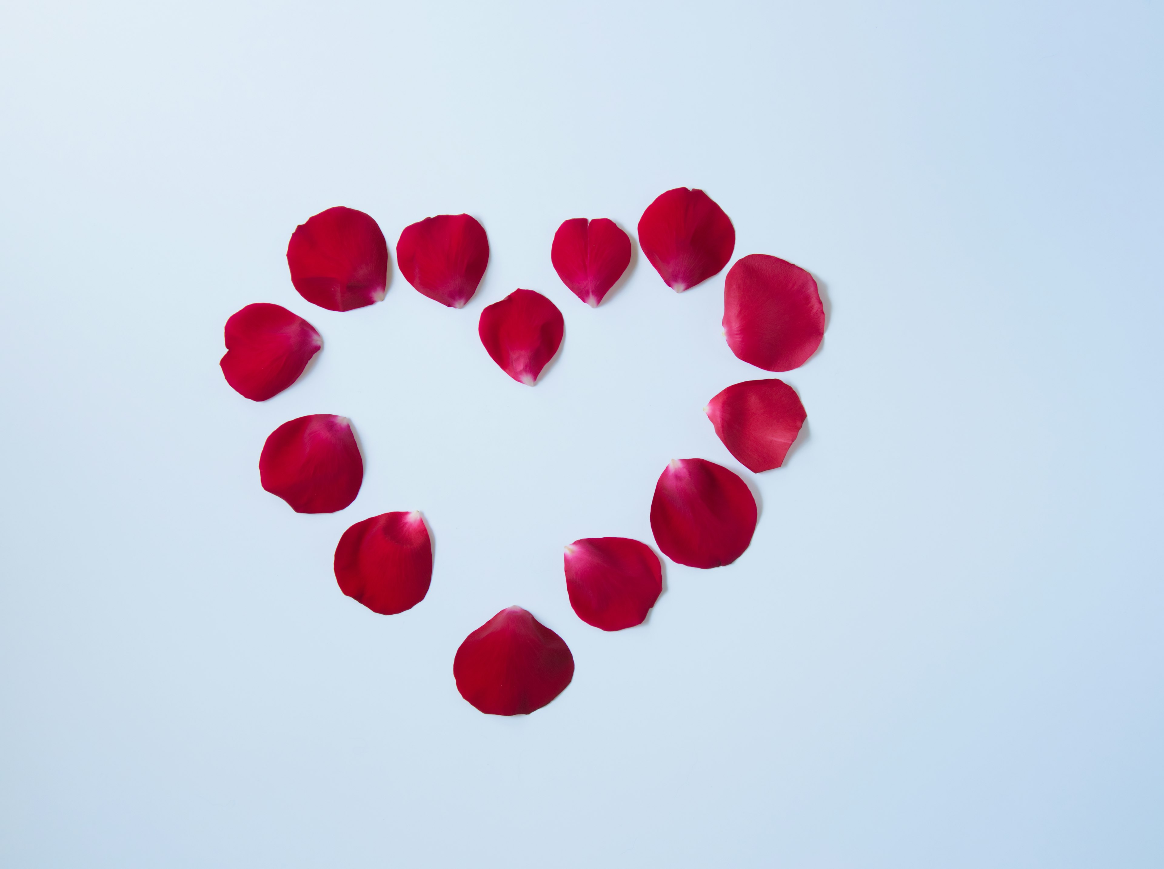 Heart shape made of red petals on a light background