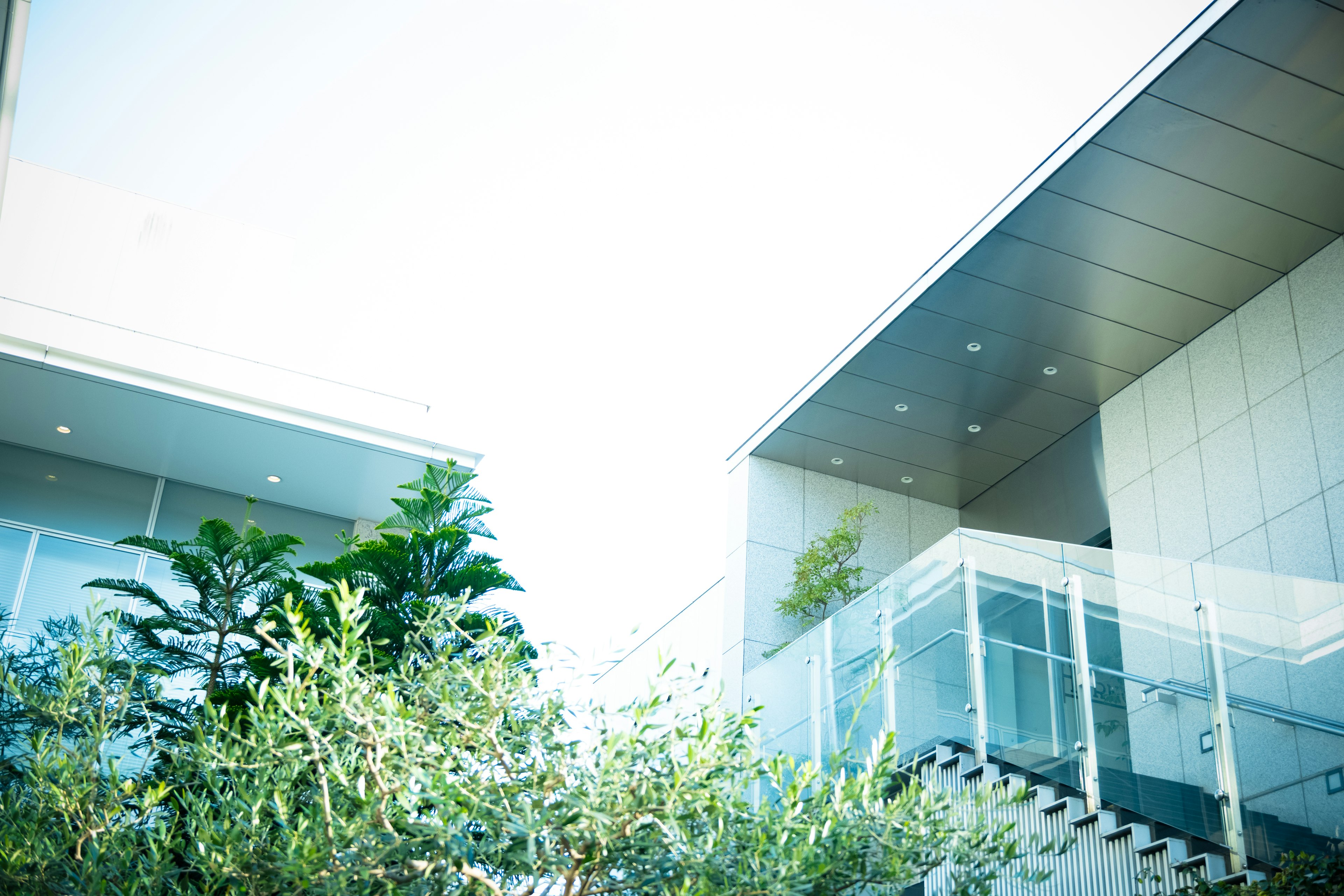 Modern buildings under a bright sky with greenery