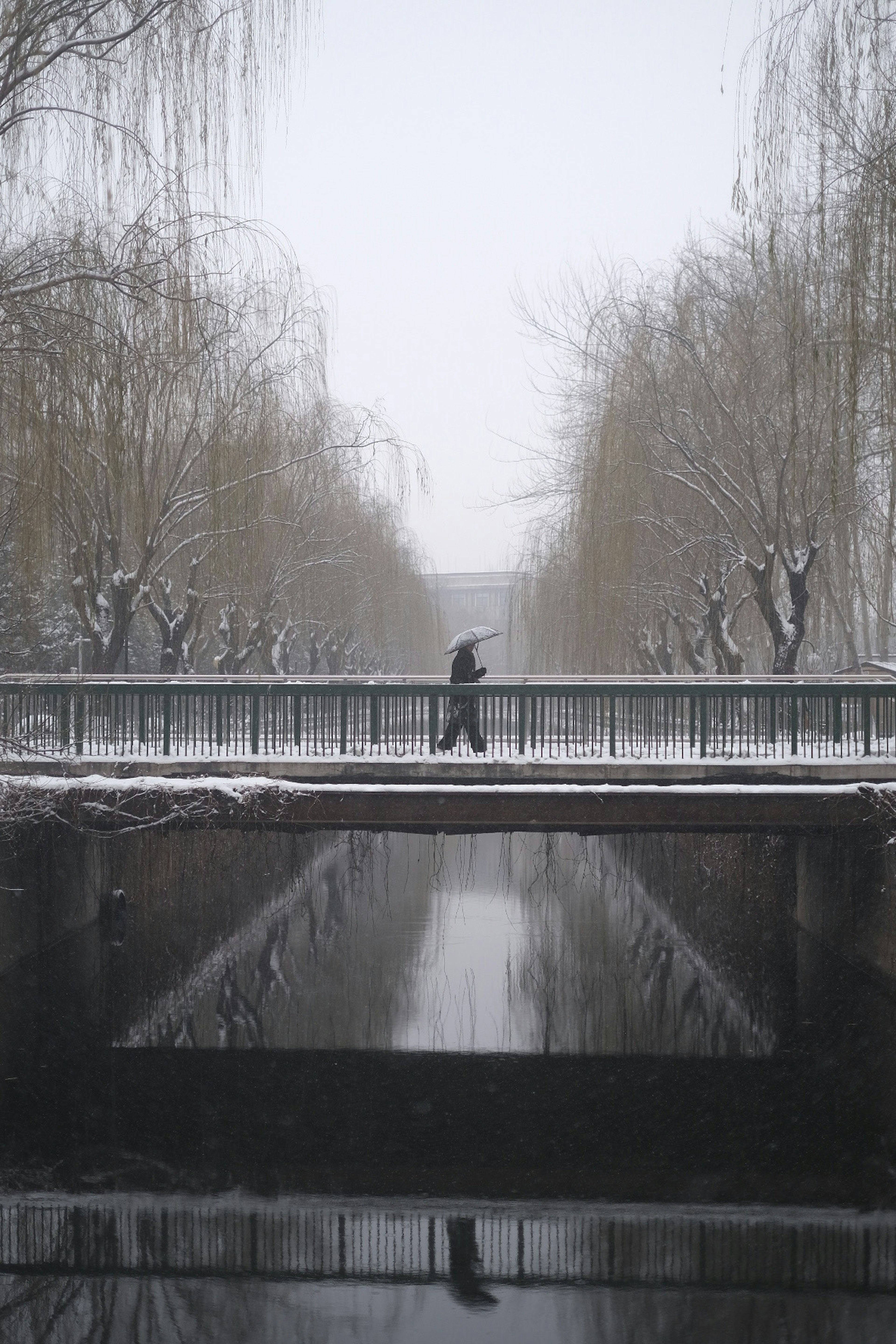 Persona caminando en un parque cubierto de nieve con una superficie de agua reflectante