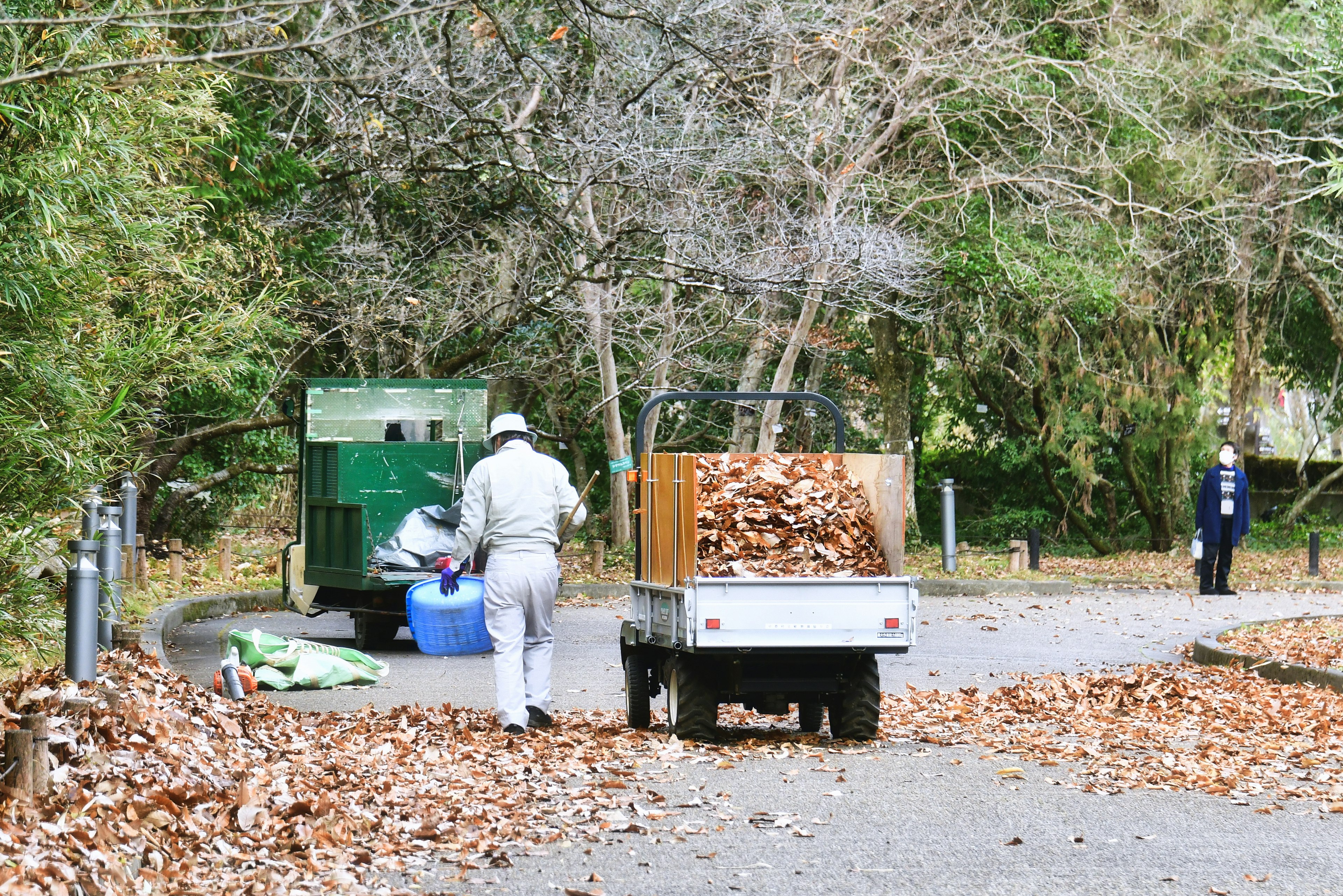 Trabajadores limpiando hojas caídas en un parque con un camión