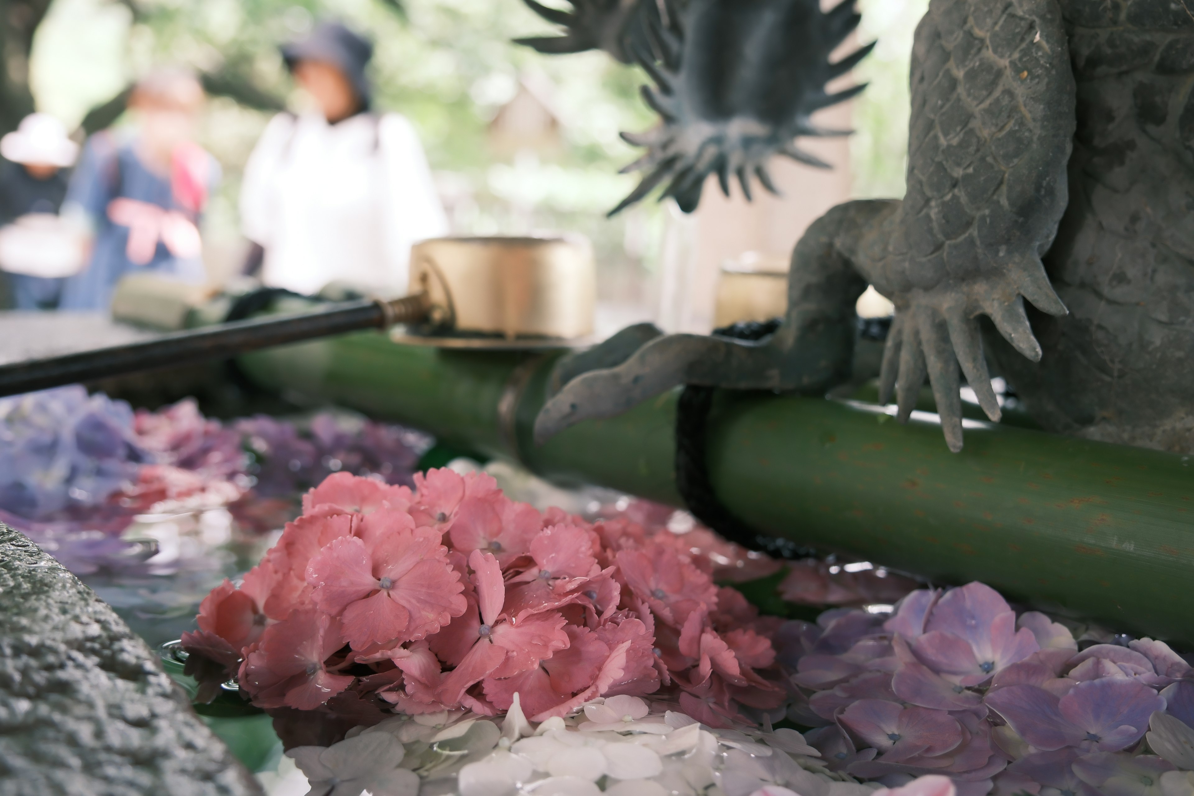 Escena de pétalos de flores rosas y morados flotando en el agua con una fuente de bambú