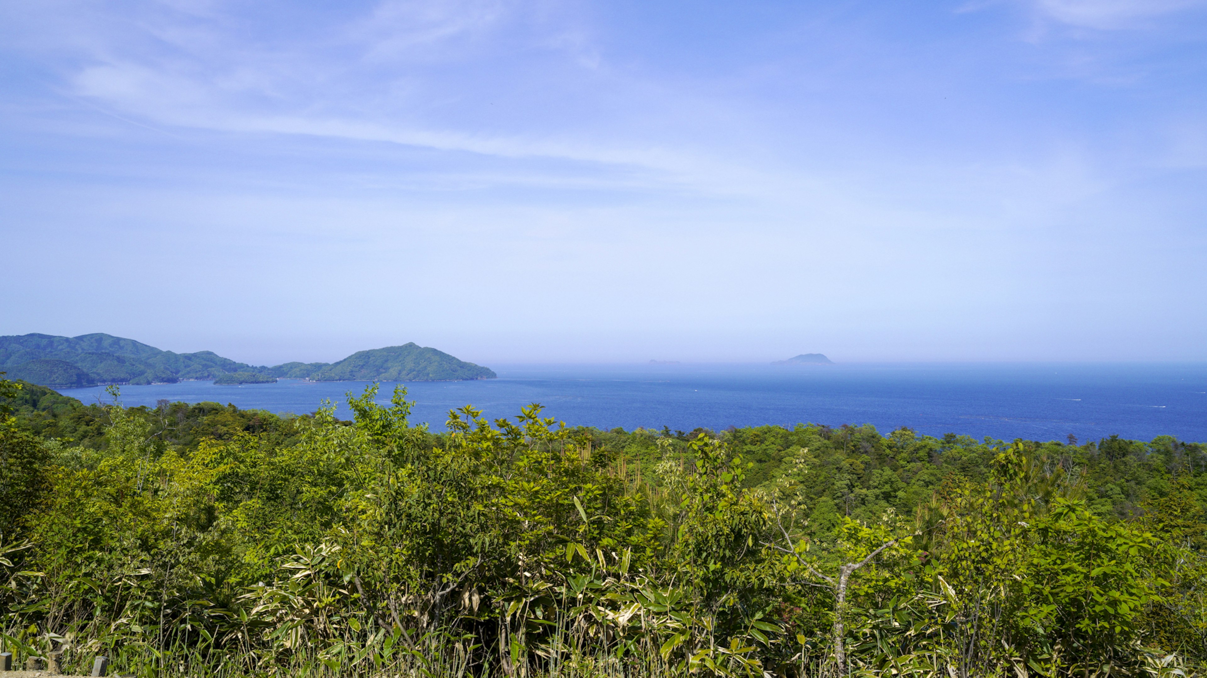 青い海と緑の植物が広がる風景