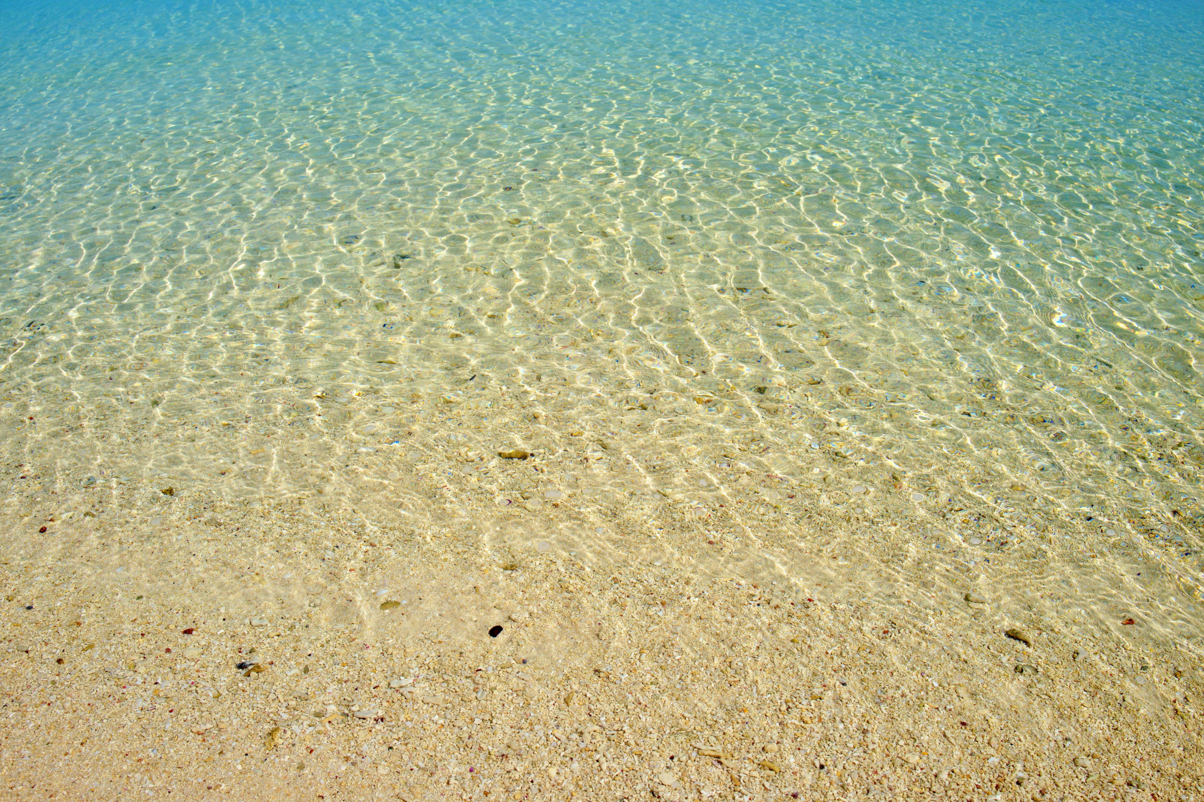 Mer bleue avec plage de sable clair