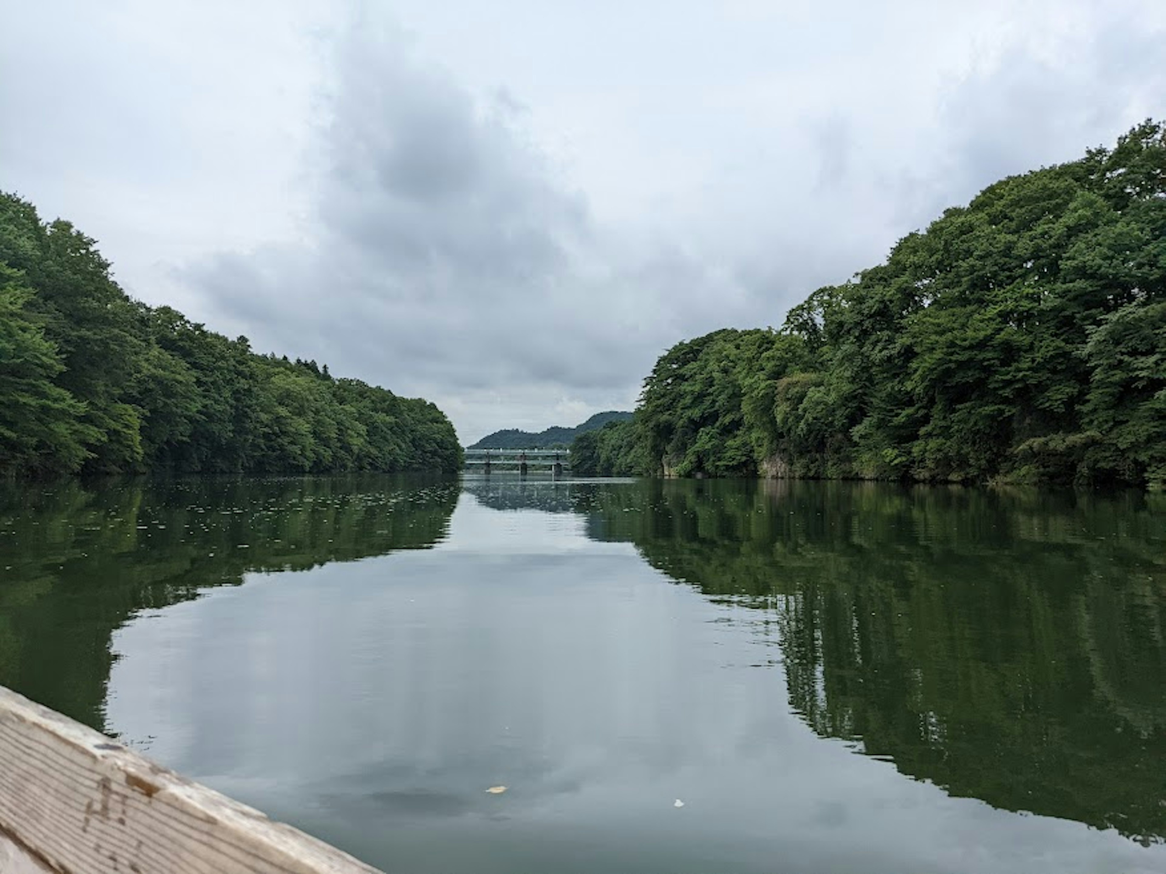 Serene river reflecting green trees under cloudy sky