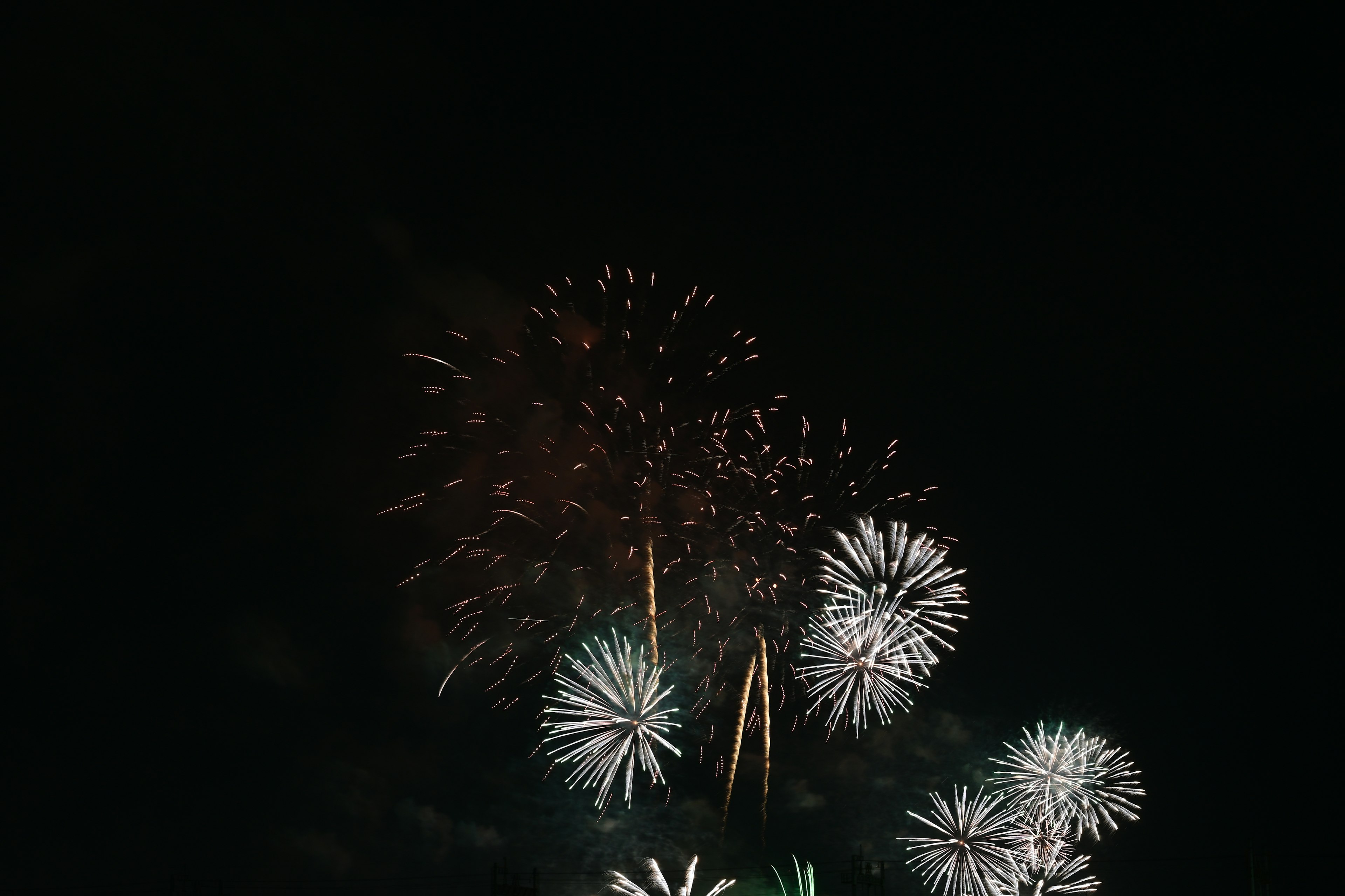 Un spectacle de feux d'artifice blancs fleurissant dans le ciel nocturne