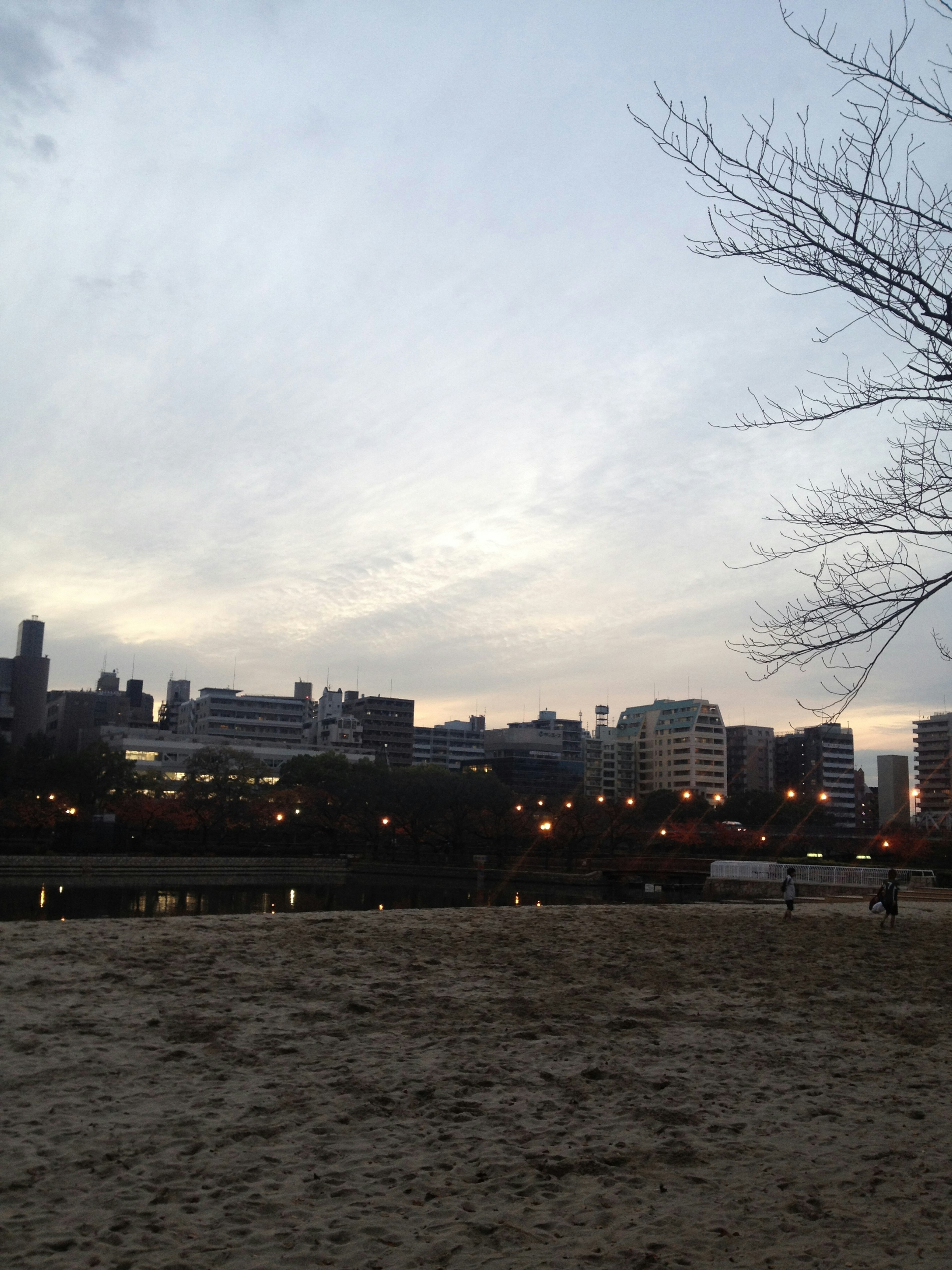 夕暮れ時の都市の景色に映る建物と公園の風景