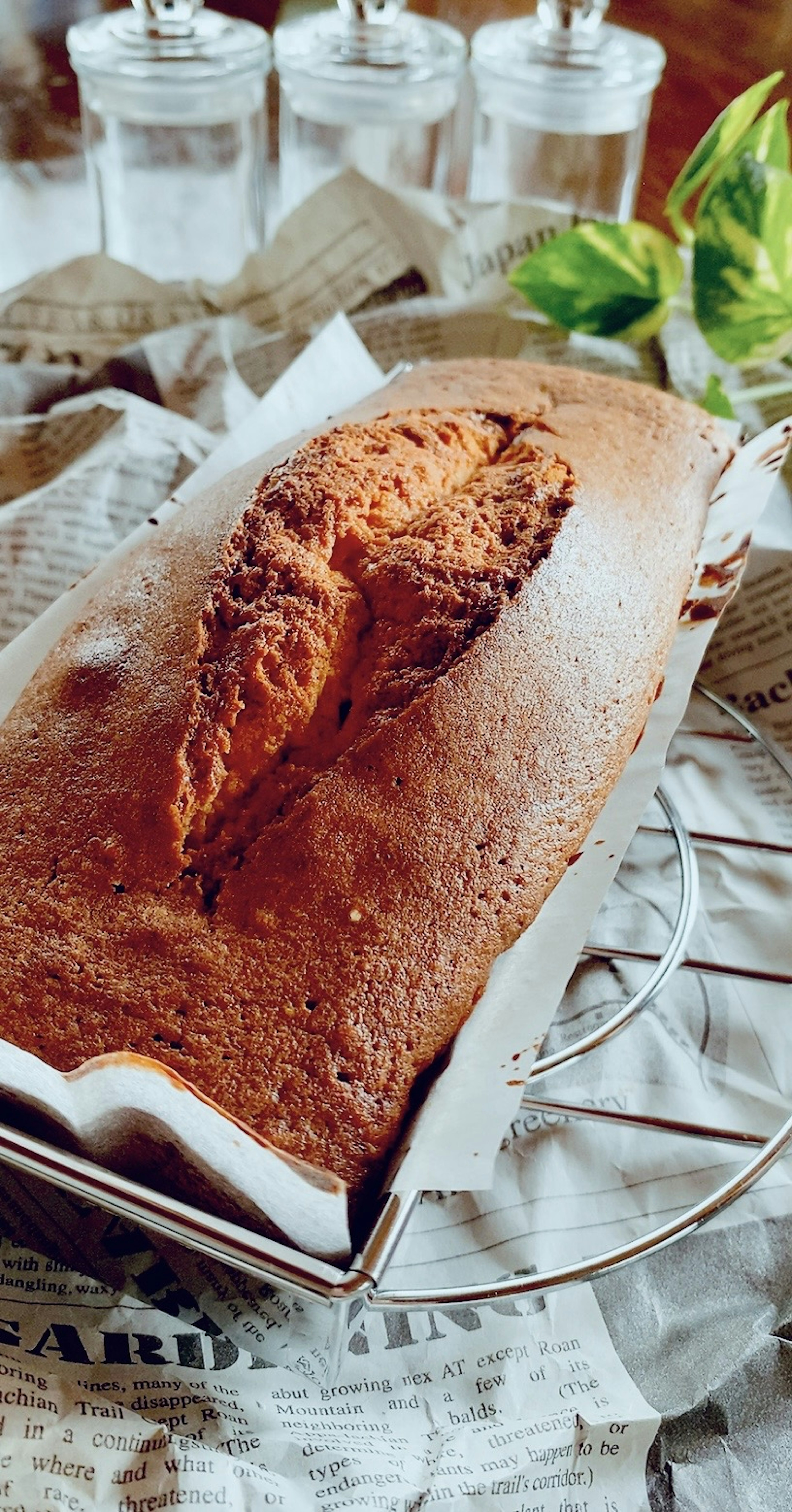 Freshly baked pound cake on a wire rack