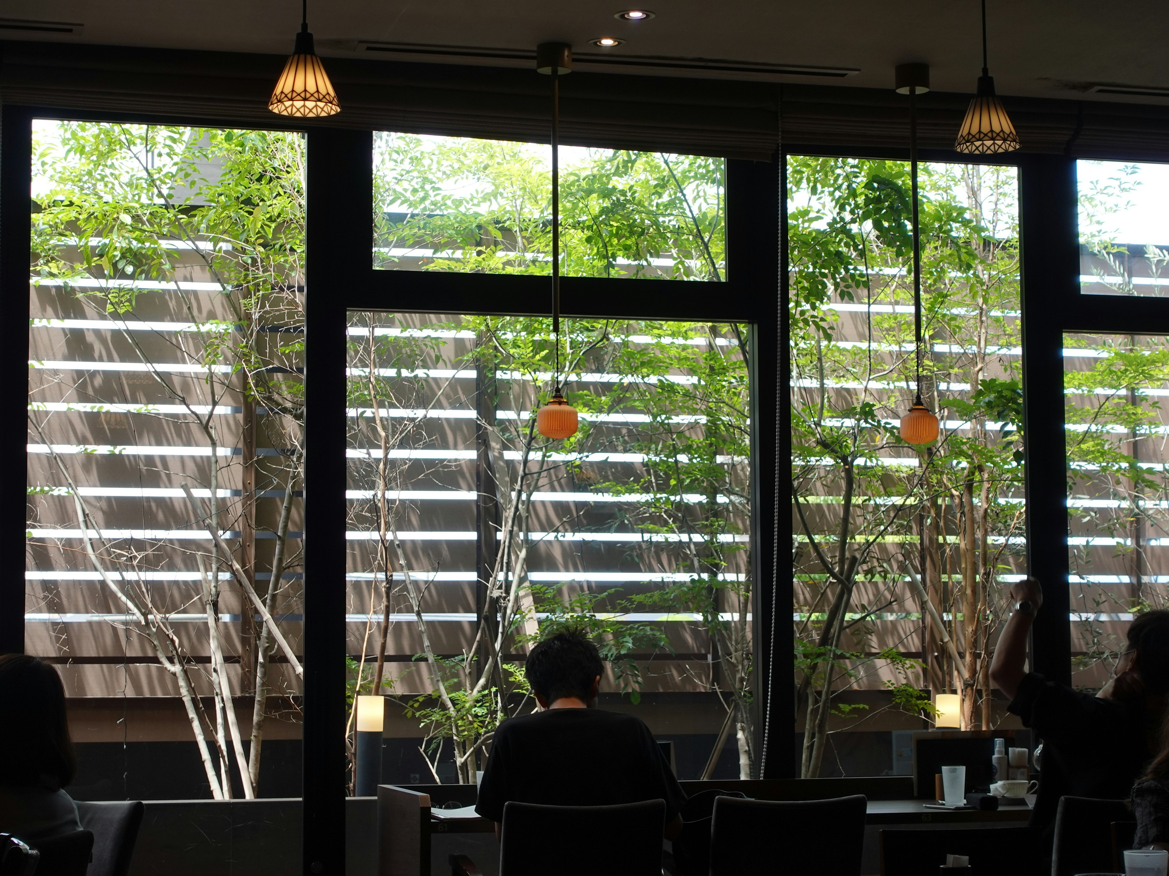 A person sitting in a café with green trees visible through large windows