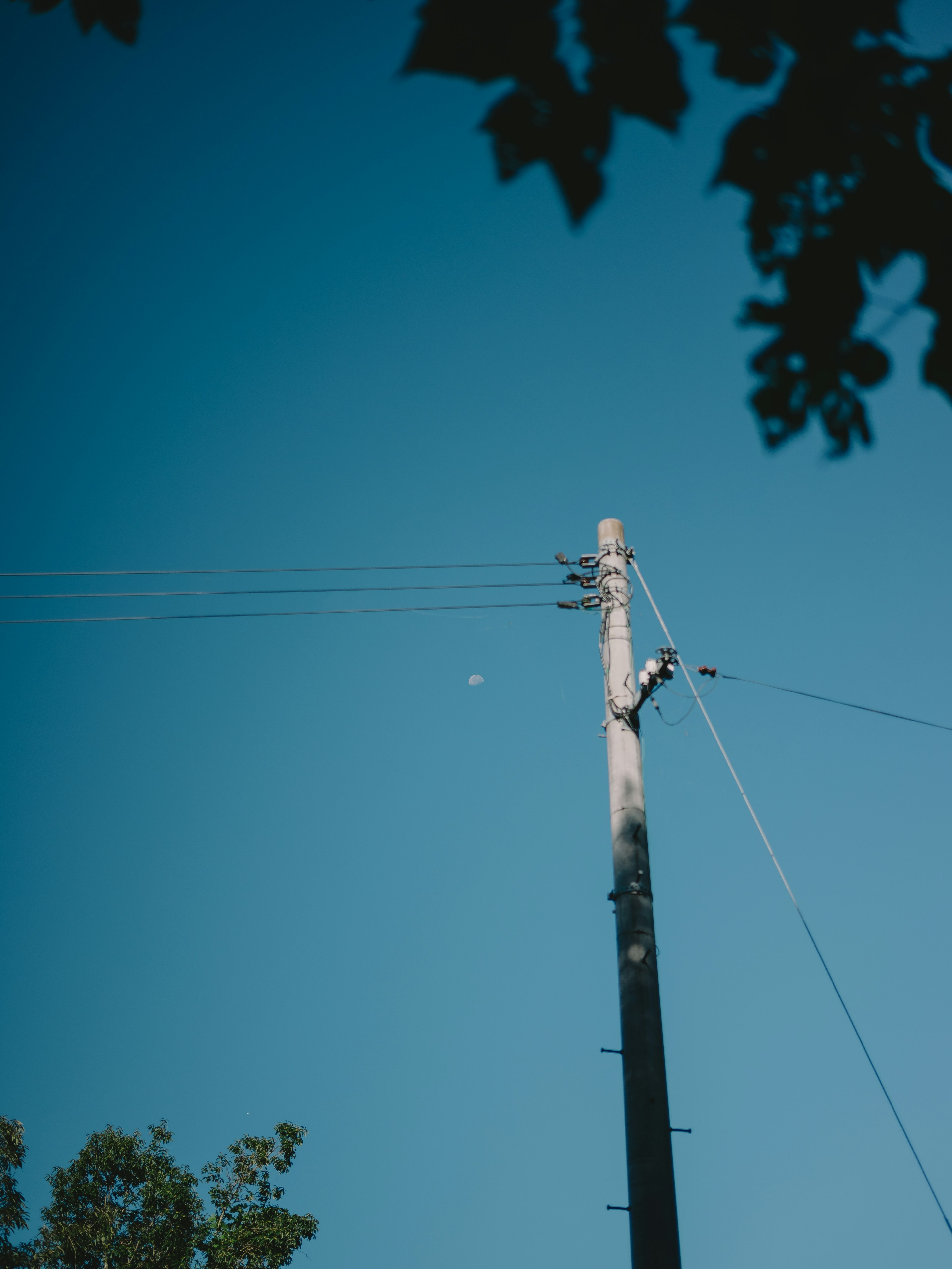 青空の下に立つ電柱と月